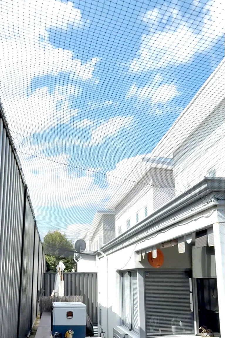 Cat net cat enclosure side of house cat run