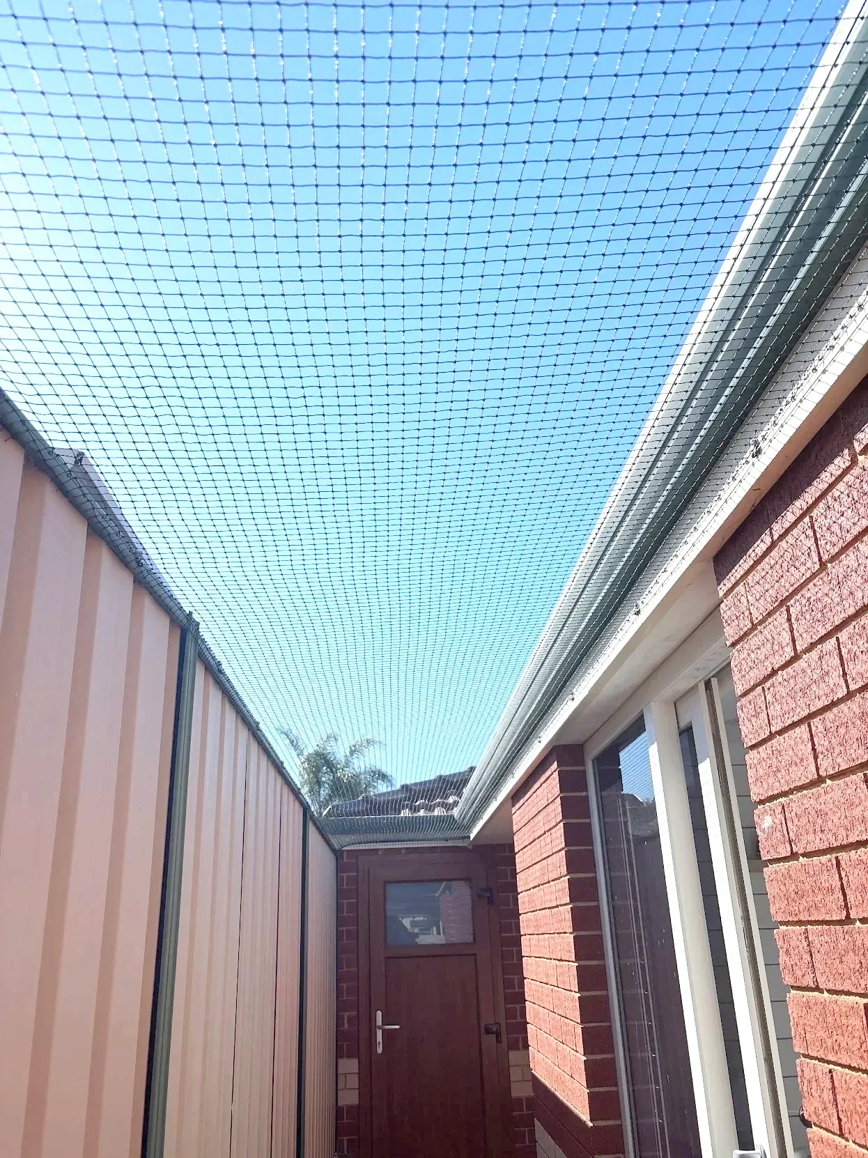 Cat run Cat Net Cat netting St James Vic Park Beckenham Canning Vale Cat enclosure