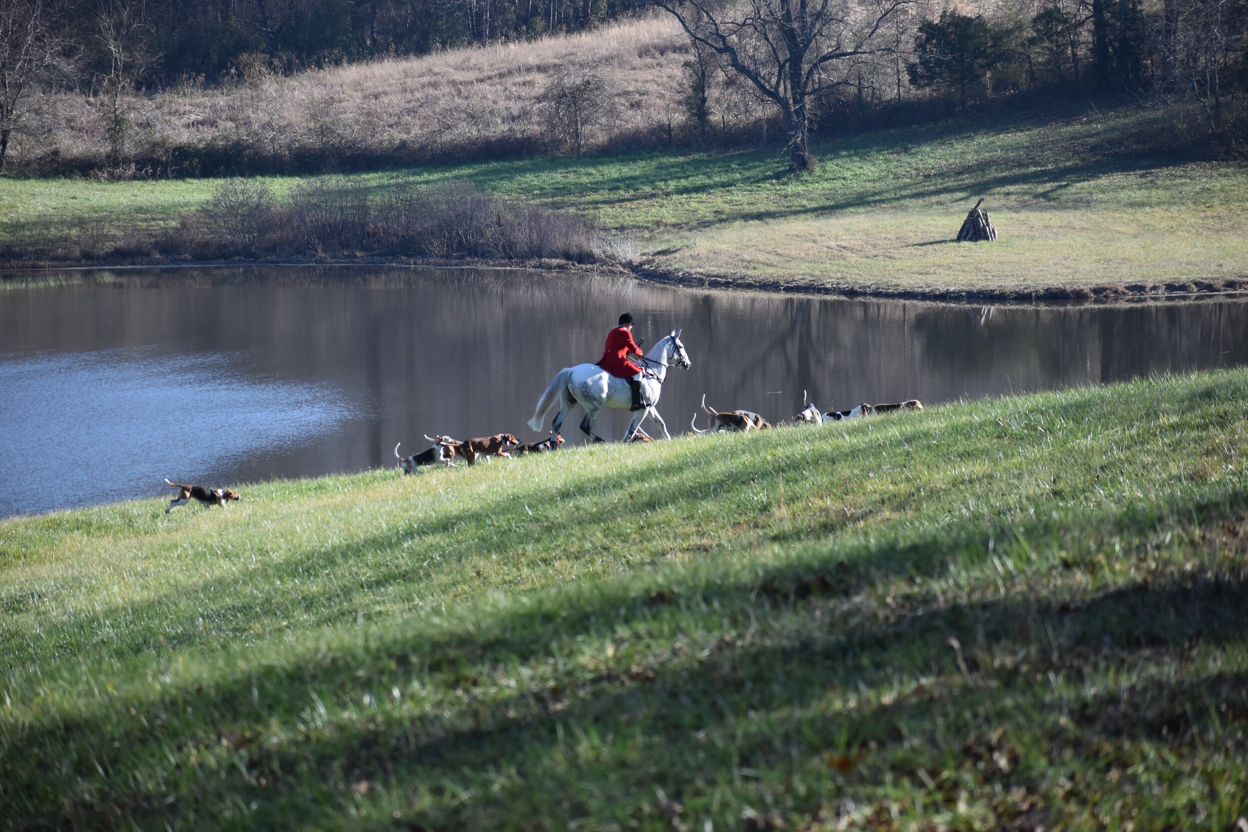 DSC_0344.jpg