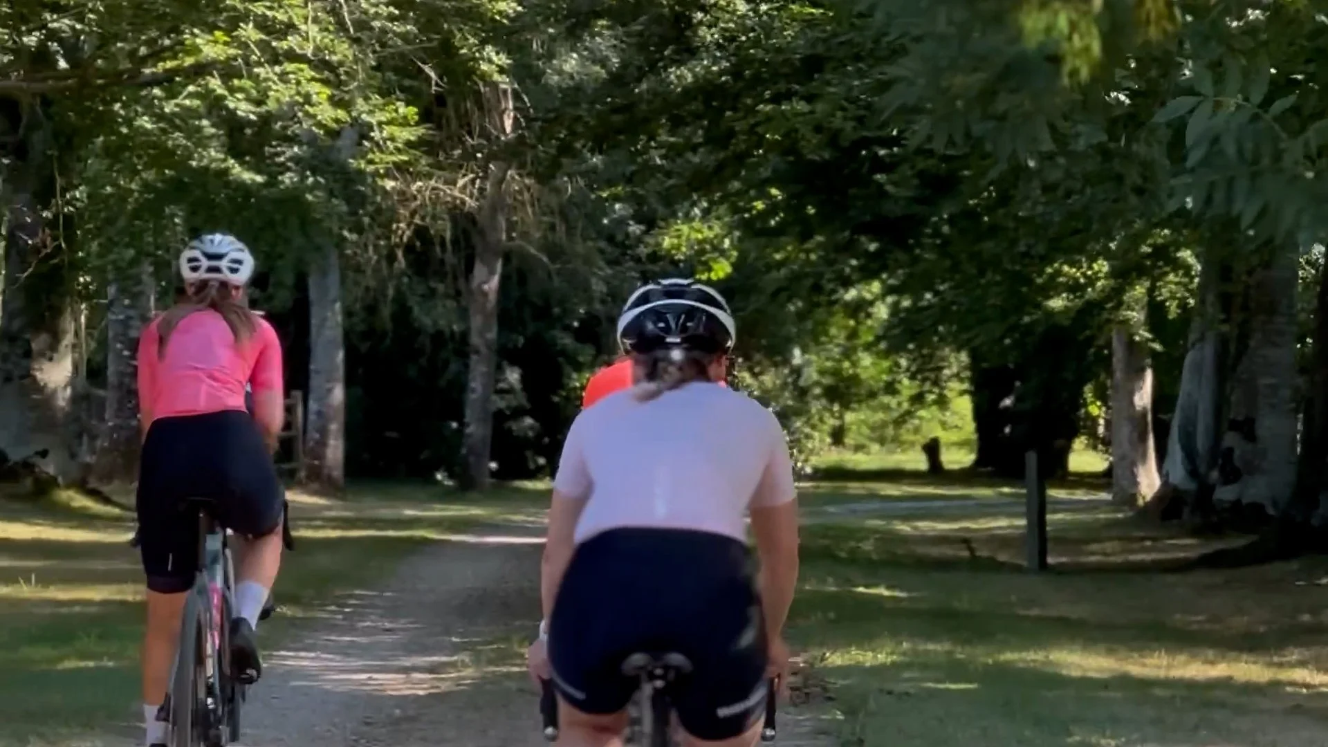 Bike20.jpg