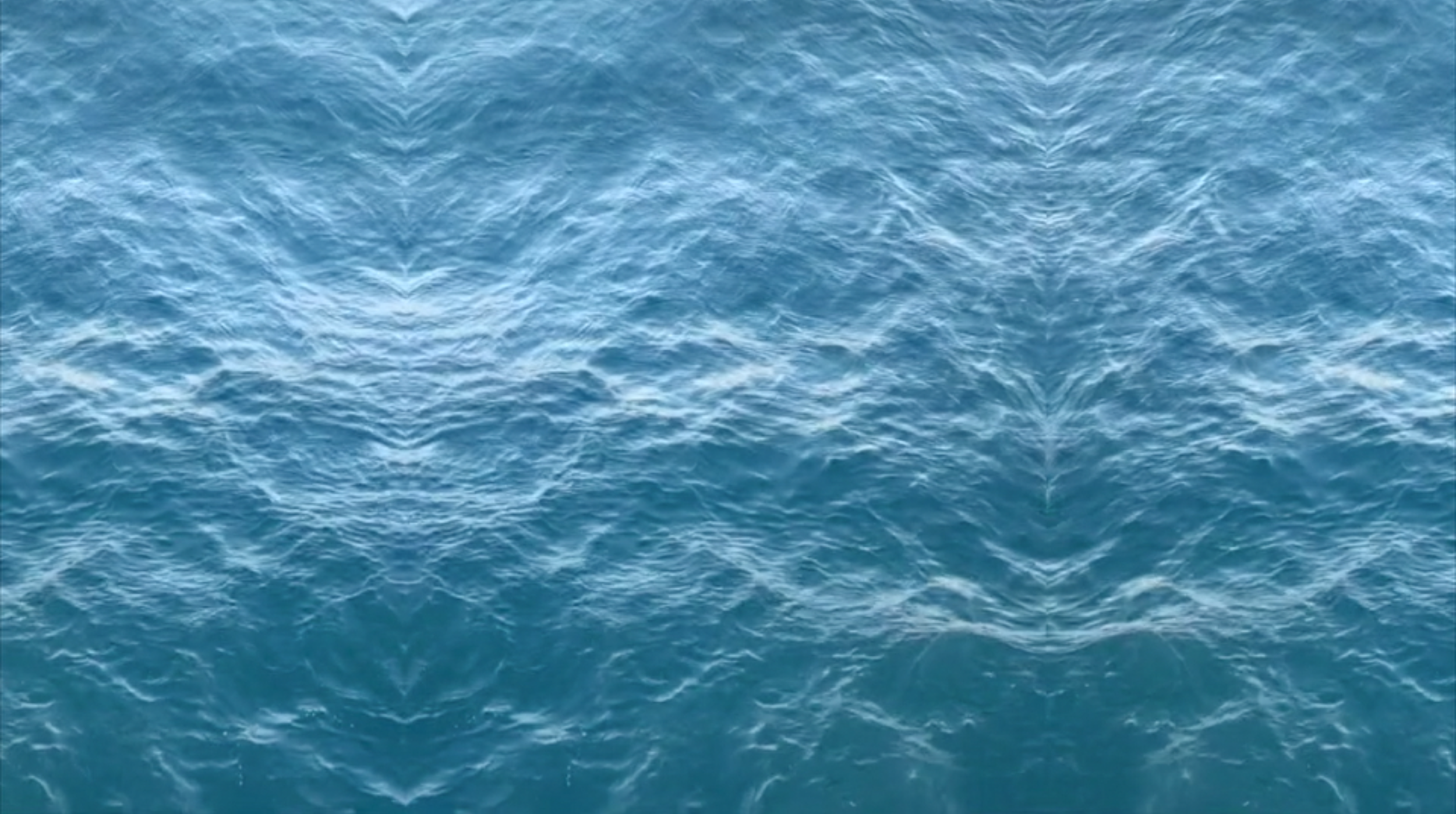 Screen Shot 2021-08-11 at 4.20.05 AM.png