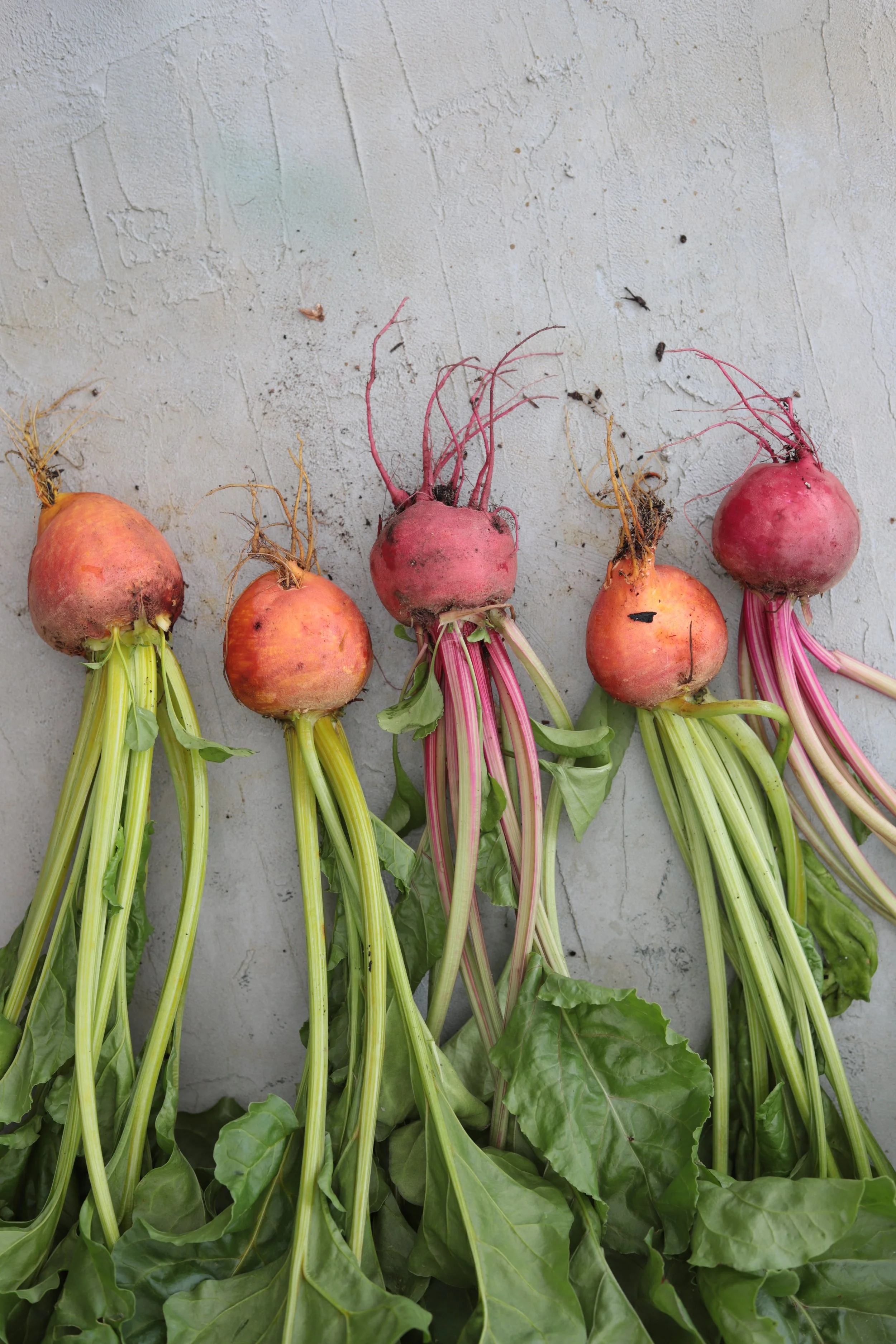 French Cooking Academy