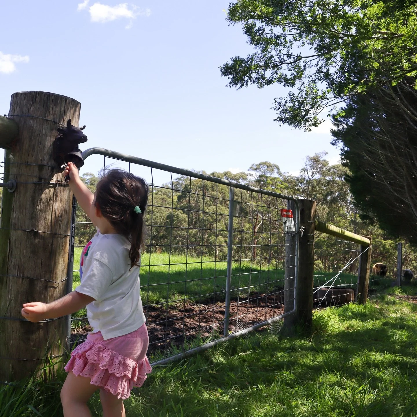 that one time we went to a farm and pretended to know what we were doing&hellip; thank you Belle for looking after us, humouring us and taking these beautiful photos x