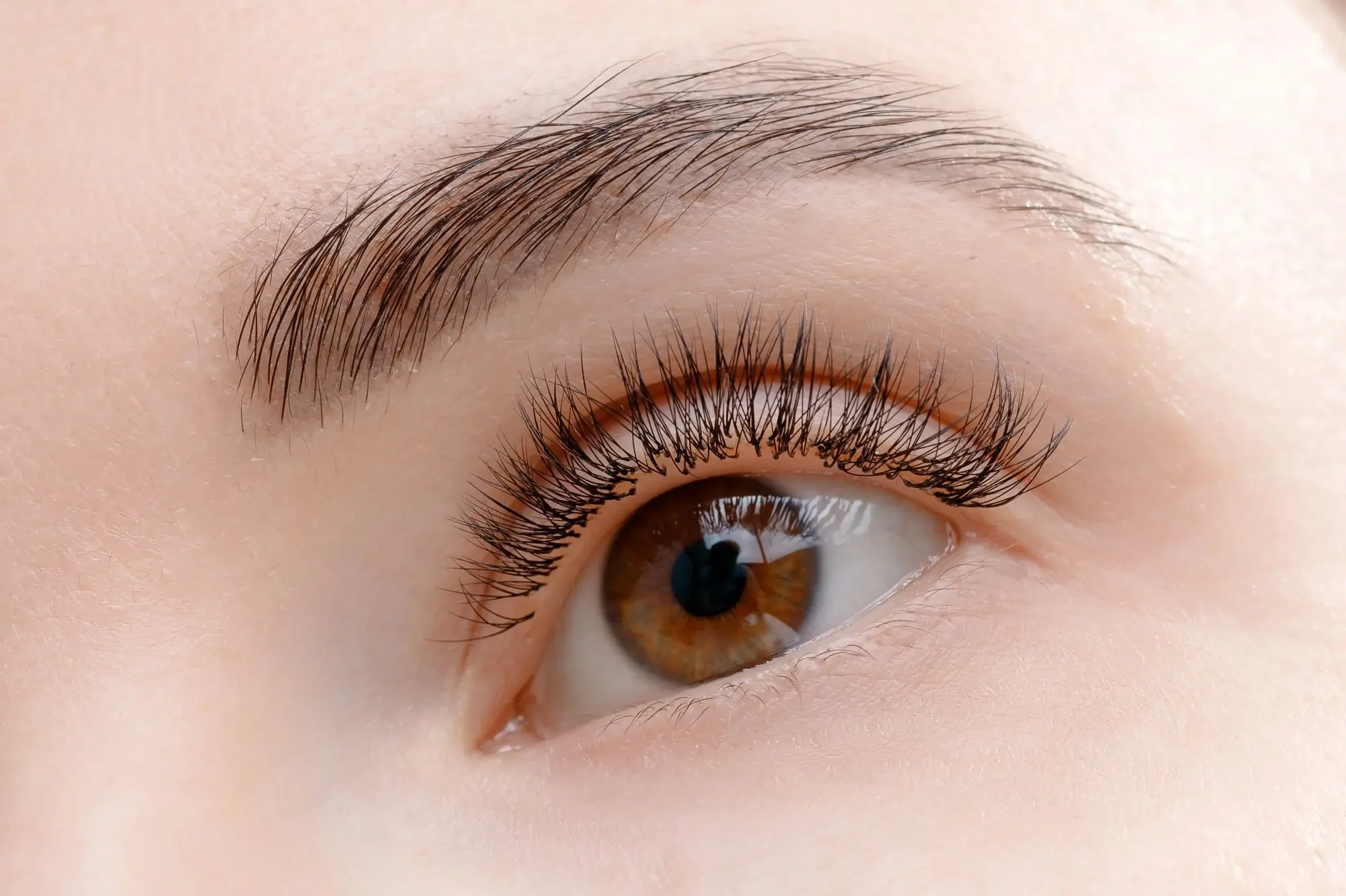 Classic vs Hybrid vs Volume Lashes: What’s the Difference?