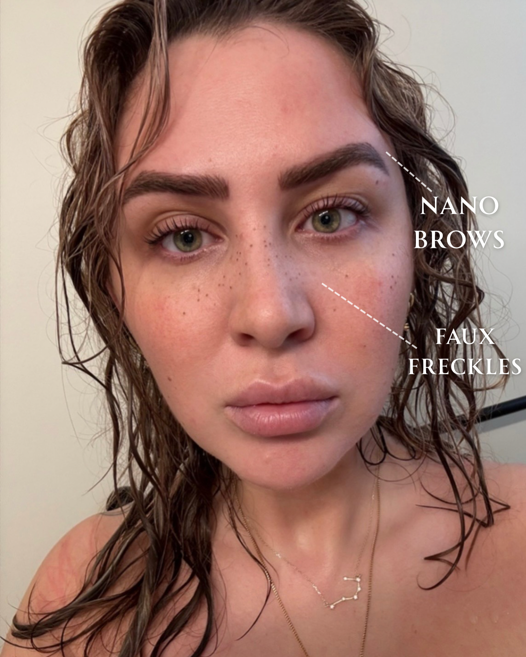 Nano Brows.png