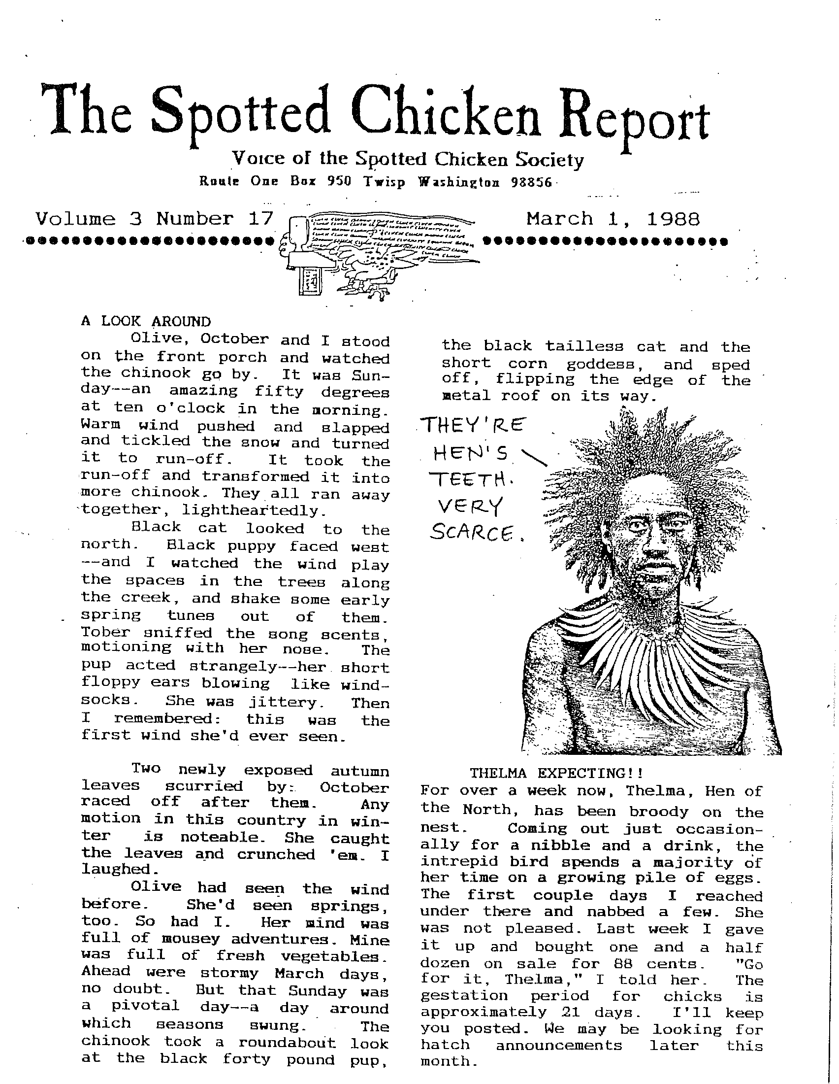 The Spotted Chicken Report_Page_063.png