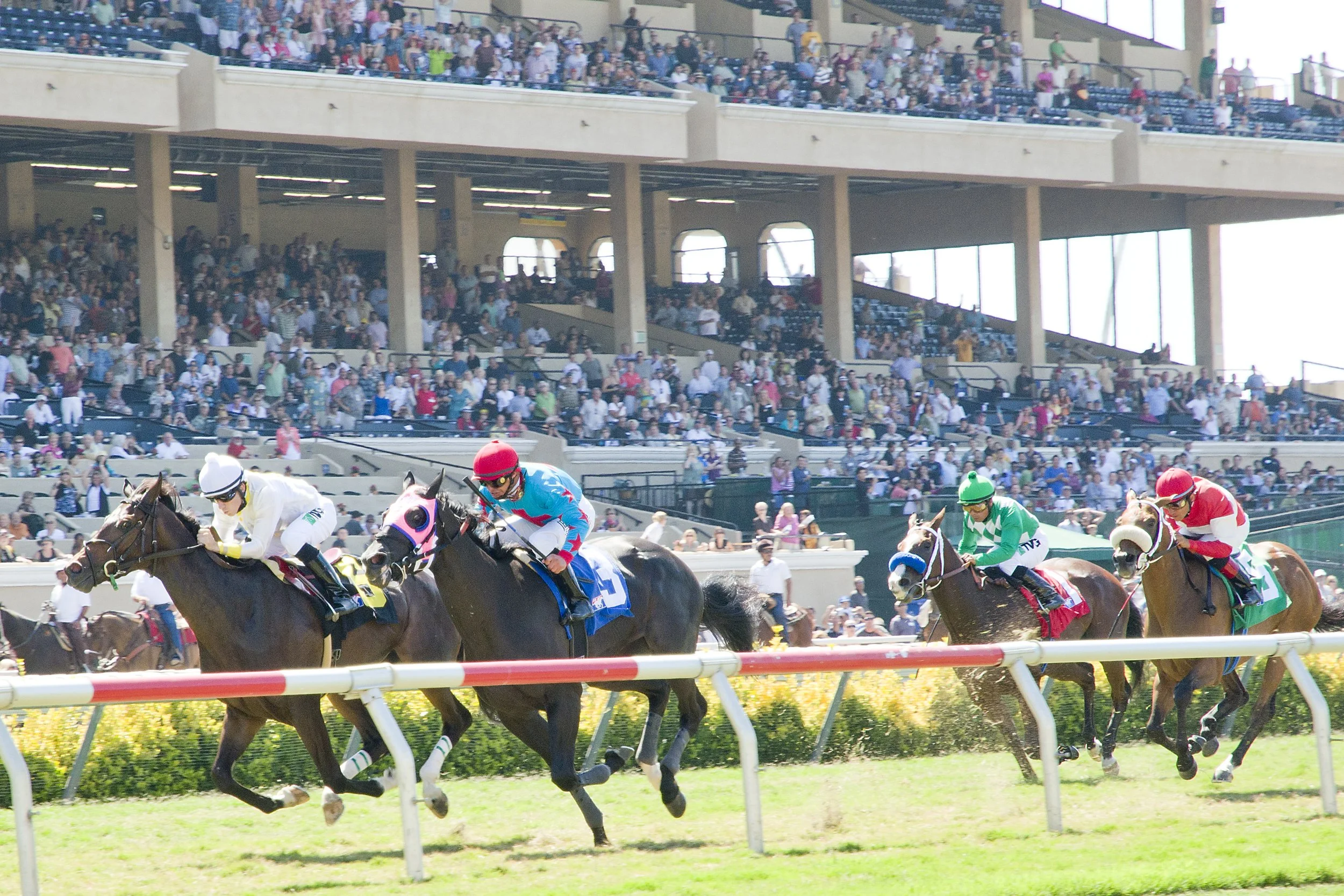 A Day at the Races