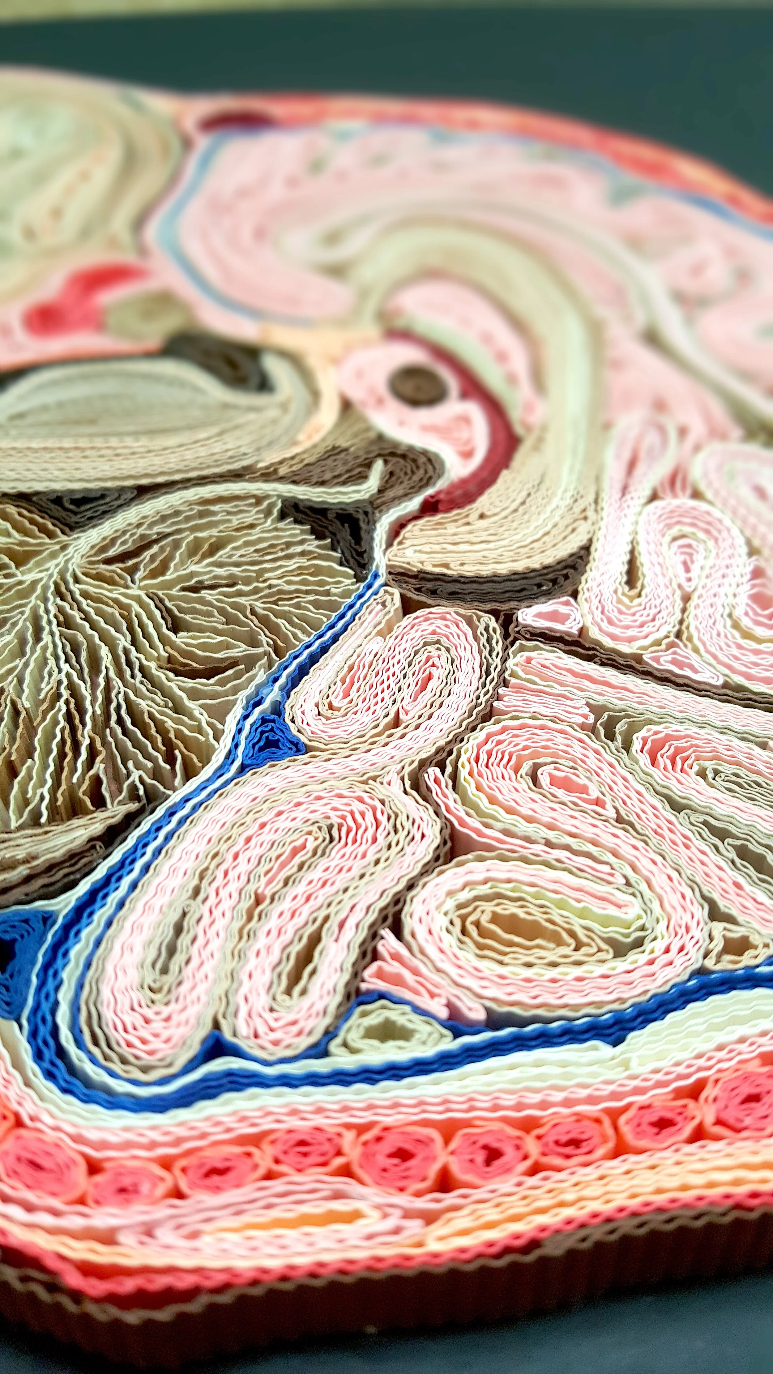 Zahra Ammar Paper Quilling Art Human Brain Dissection Diagram 3.jpg