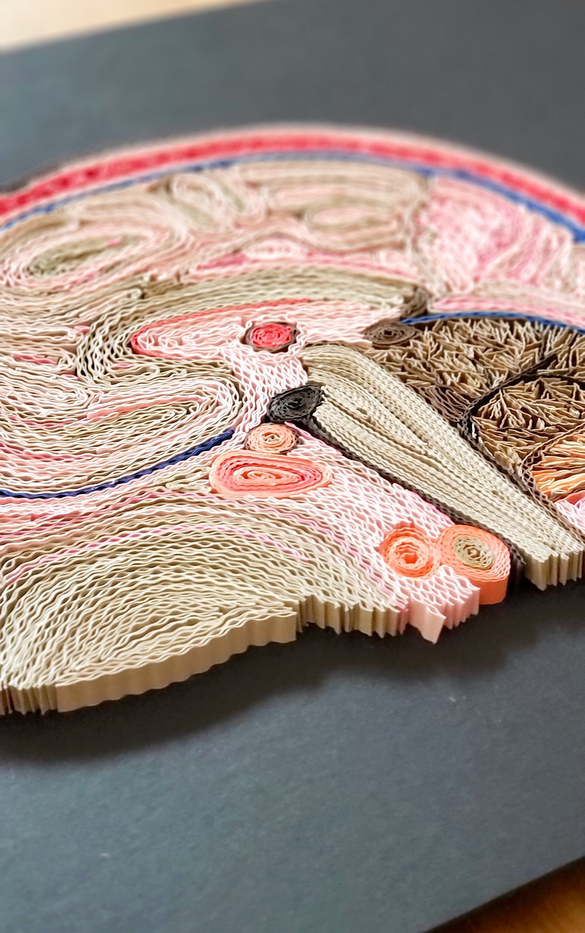 Zahra Ammar Paper Quilling Art Human Brain Dissection Diagram 4.jpg