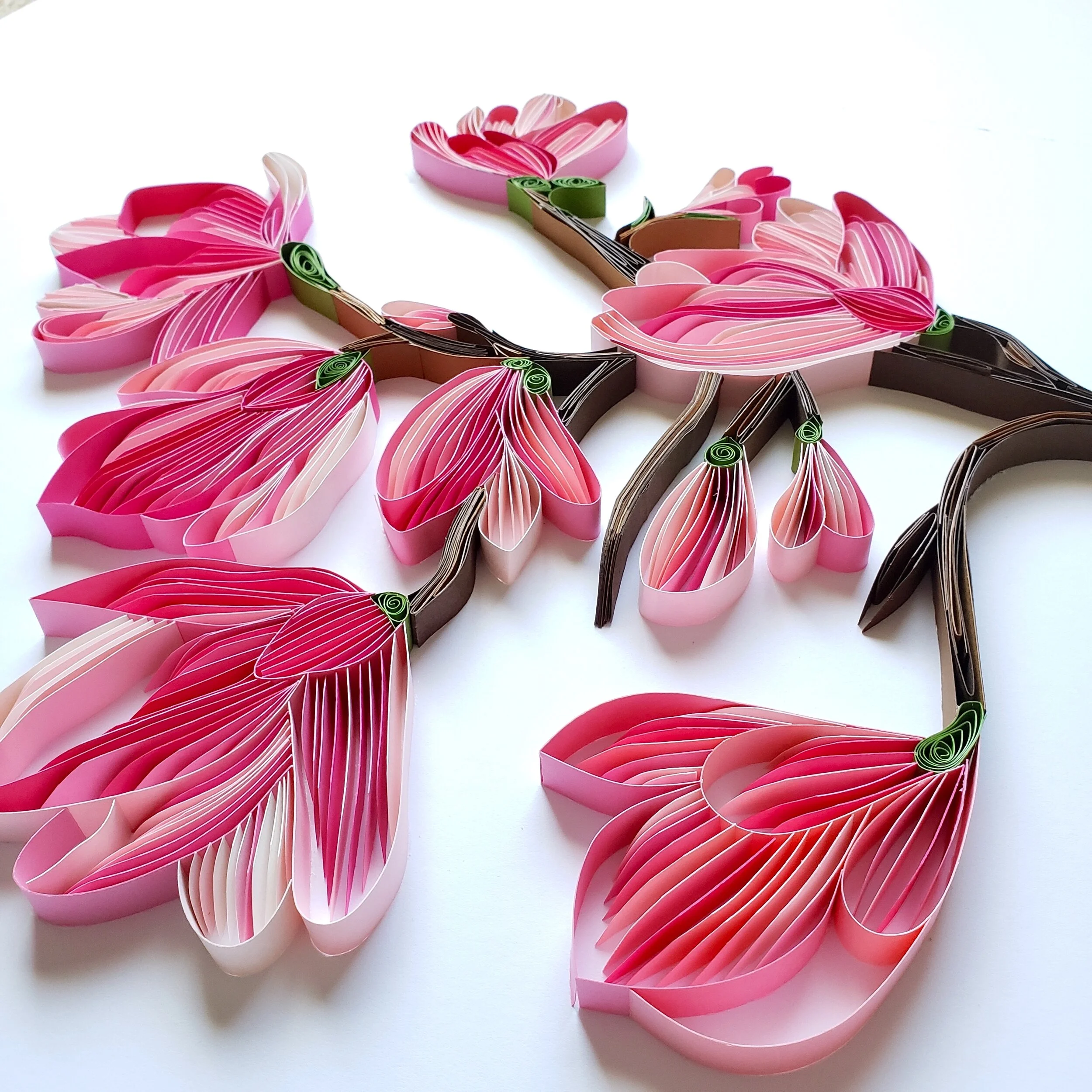Zahra Ammar Paper Quilling Pink Magnolia Flowers 6.jpg