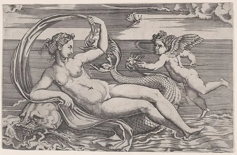 Agostino Veneziano , Venus Reclining on a Dolphin, circa 1516.jpg