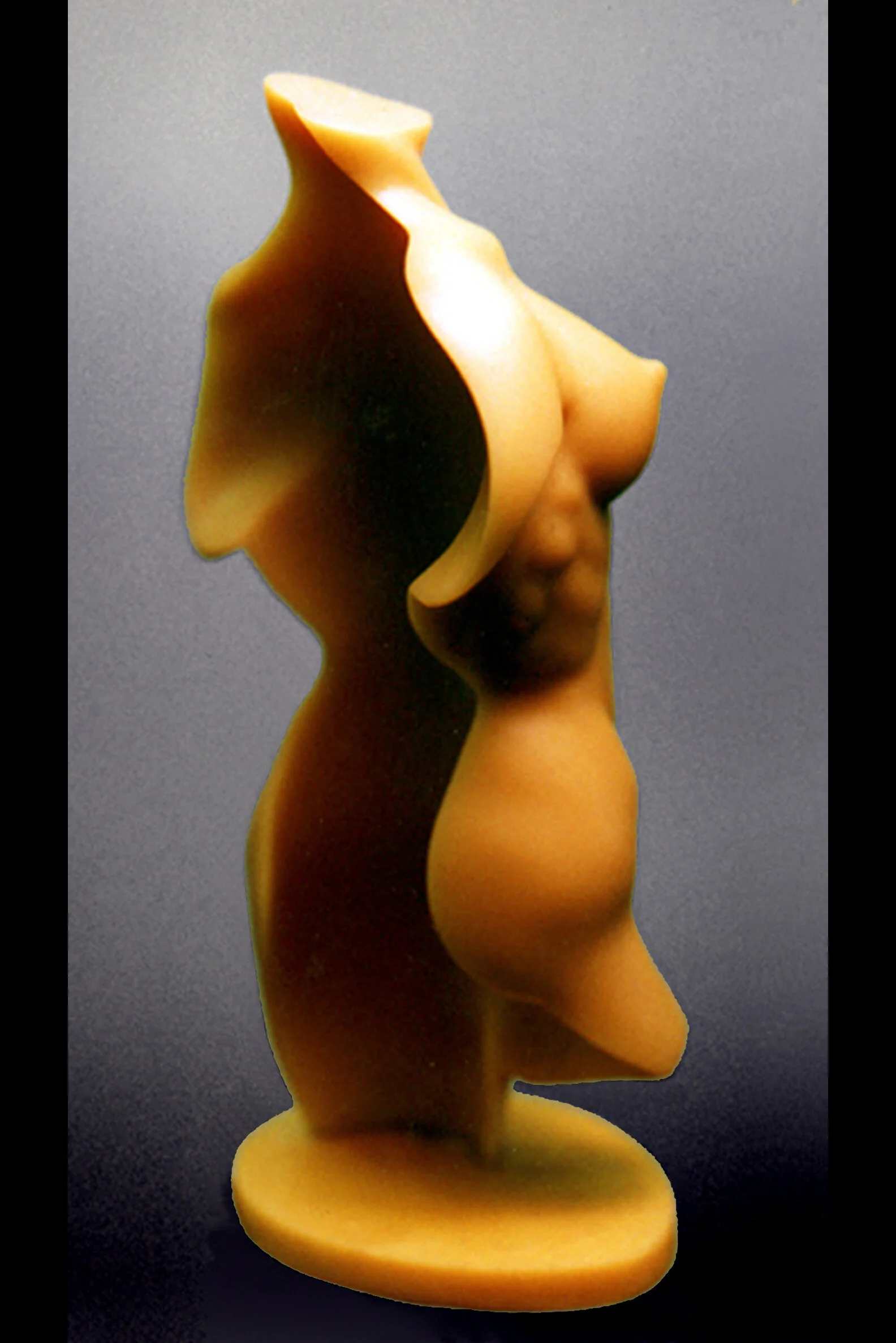 8" TORSO