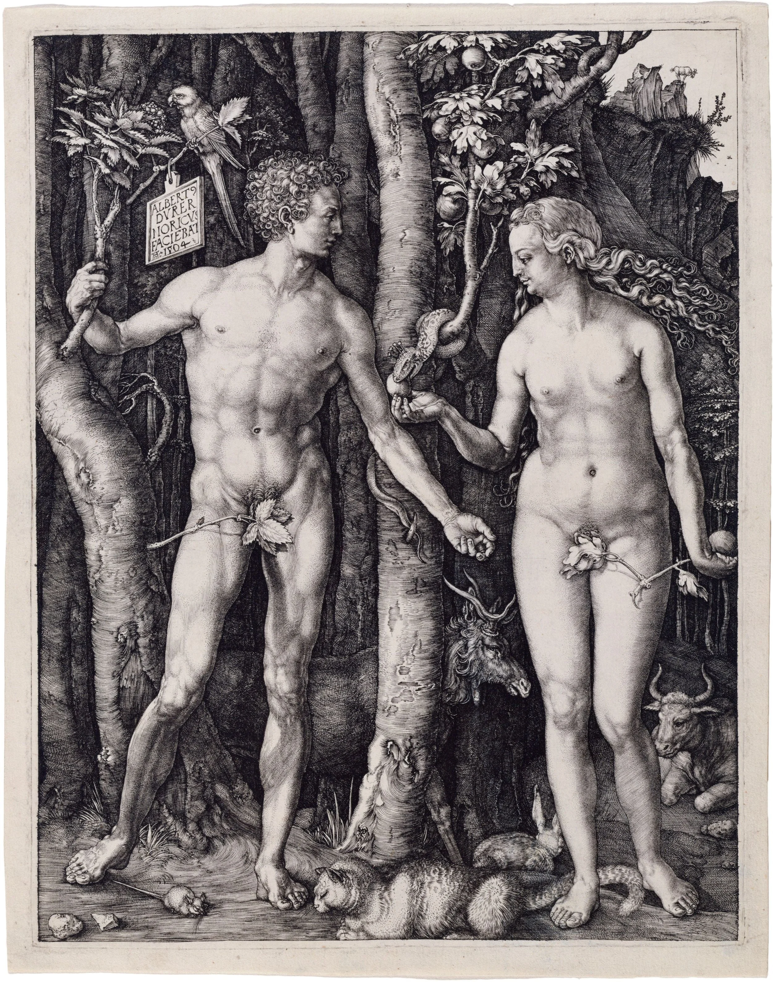 Albrecht Durer's Engraving