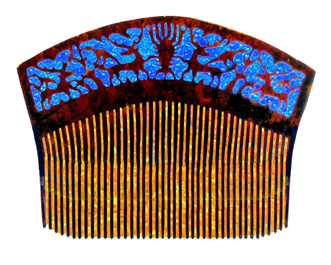 010_C81-Eb JPG.png
