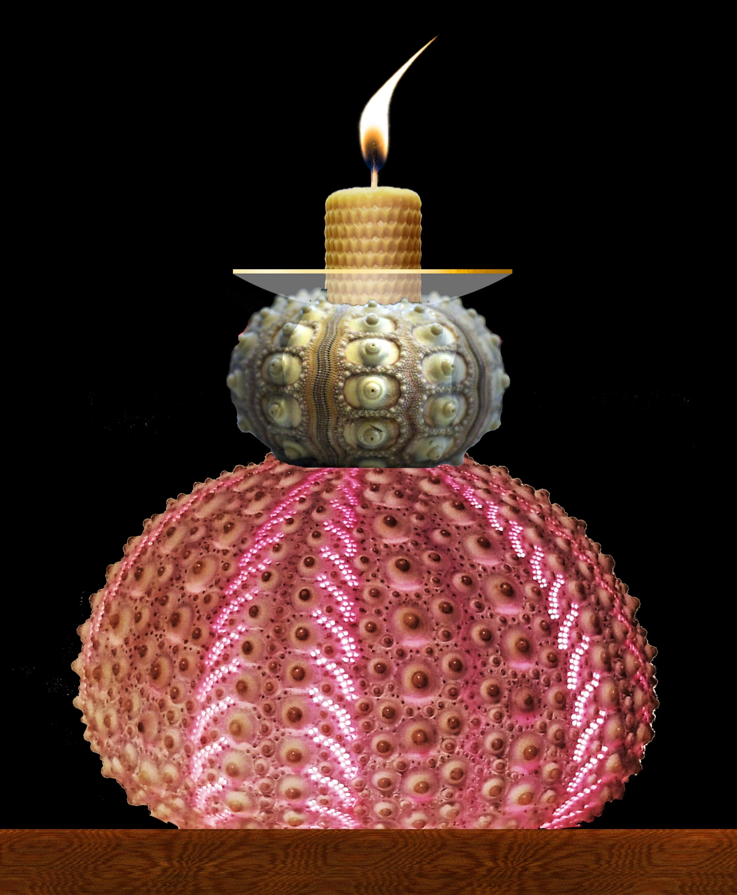 Sputnik Sea Urchin Nightlight Concept.jpg
