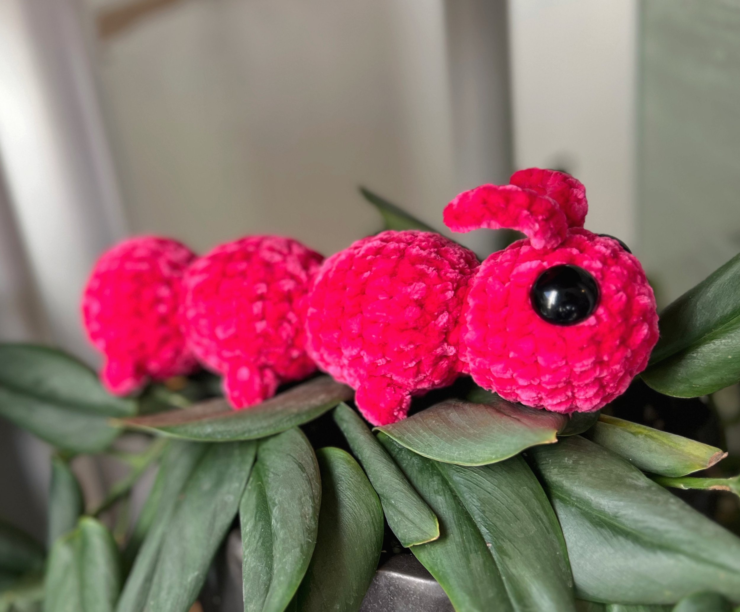 Caterpillar