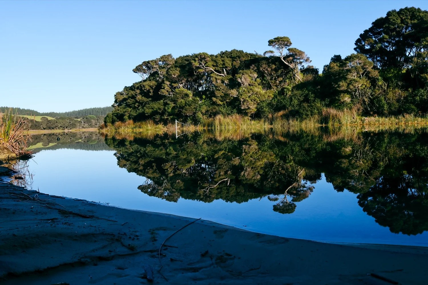 Kaipara(1of1)-20.JPG