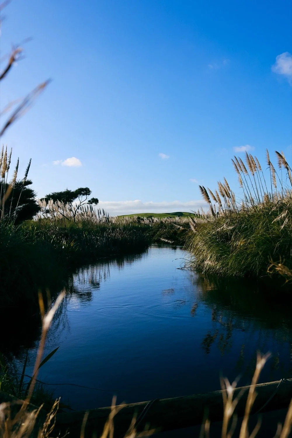 Kaipara(1of1)-0.JPG