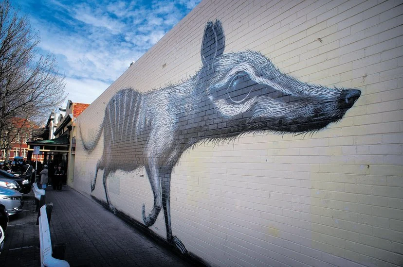 Numbat Mural