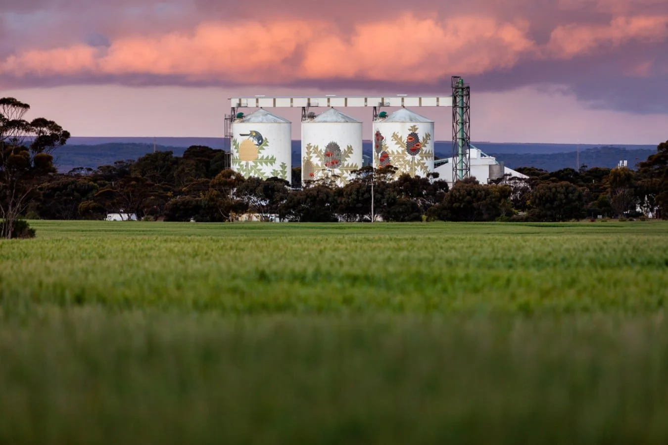 Amok-Island-PUBLIC-Silo-Trail-Ravensthorpe-2016.-Photograph-by-Bewley-Shaylor-image-courtesy-of-FORM.10-1350x900.jpg