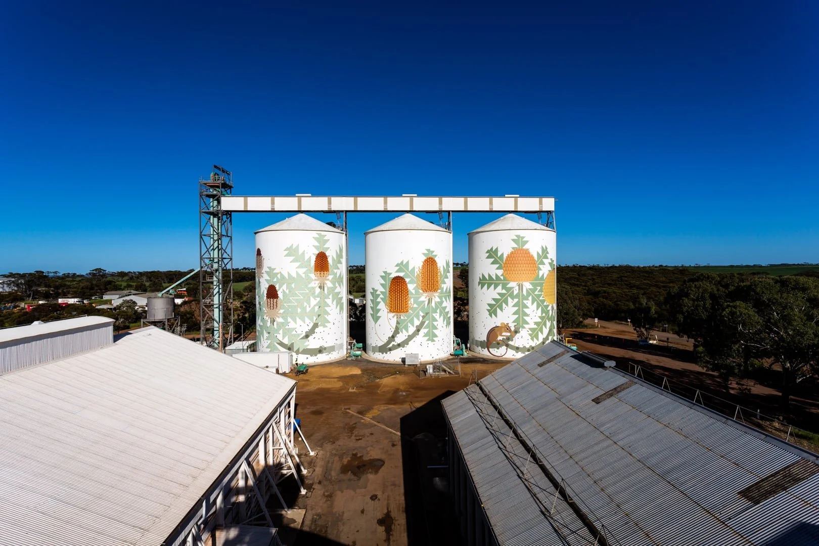 Amok-Island-PUBLIC-Silo-Trail-Ravensthorpe-2016.-Photograph-by-Bewley-Shaylor-image-courtesy-of-FORM.22.jpg