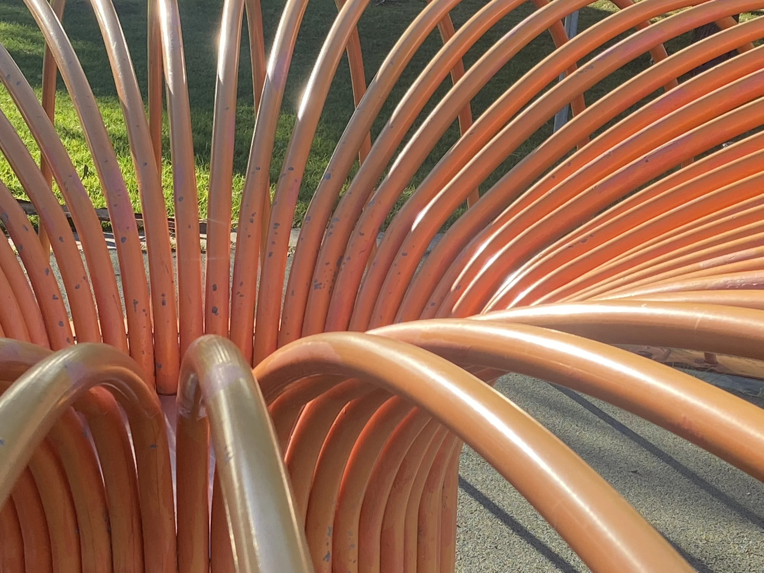 Sea Anemone by Rebecca Rose.  Photograph_ L. Newland(3).jpg