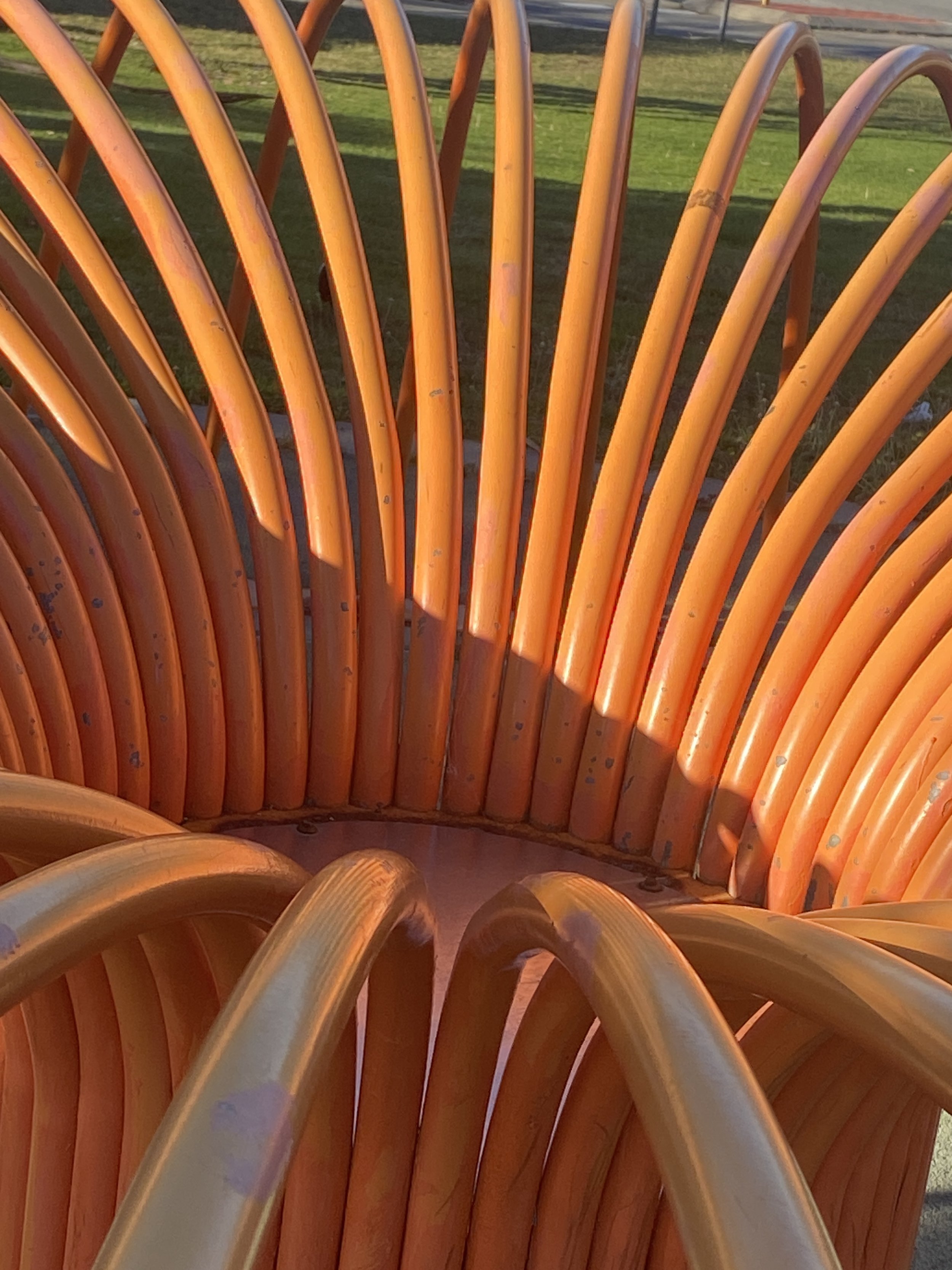 Sea Anemone by Rebecca Rose.  Photograph_ L. Newland(13).jpg