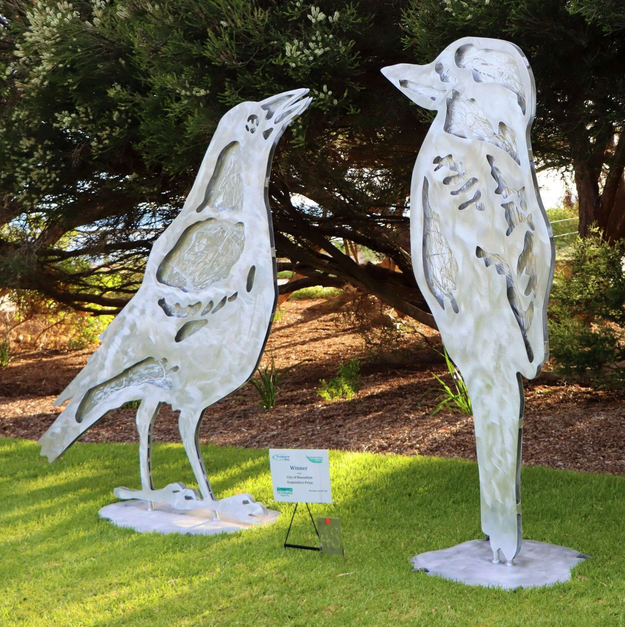Maggie and Kookaburra Face Off