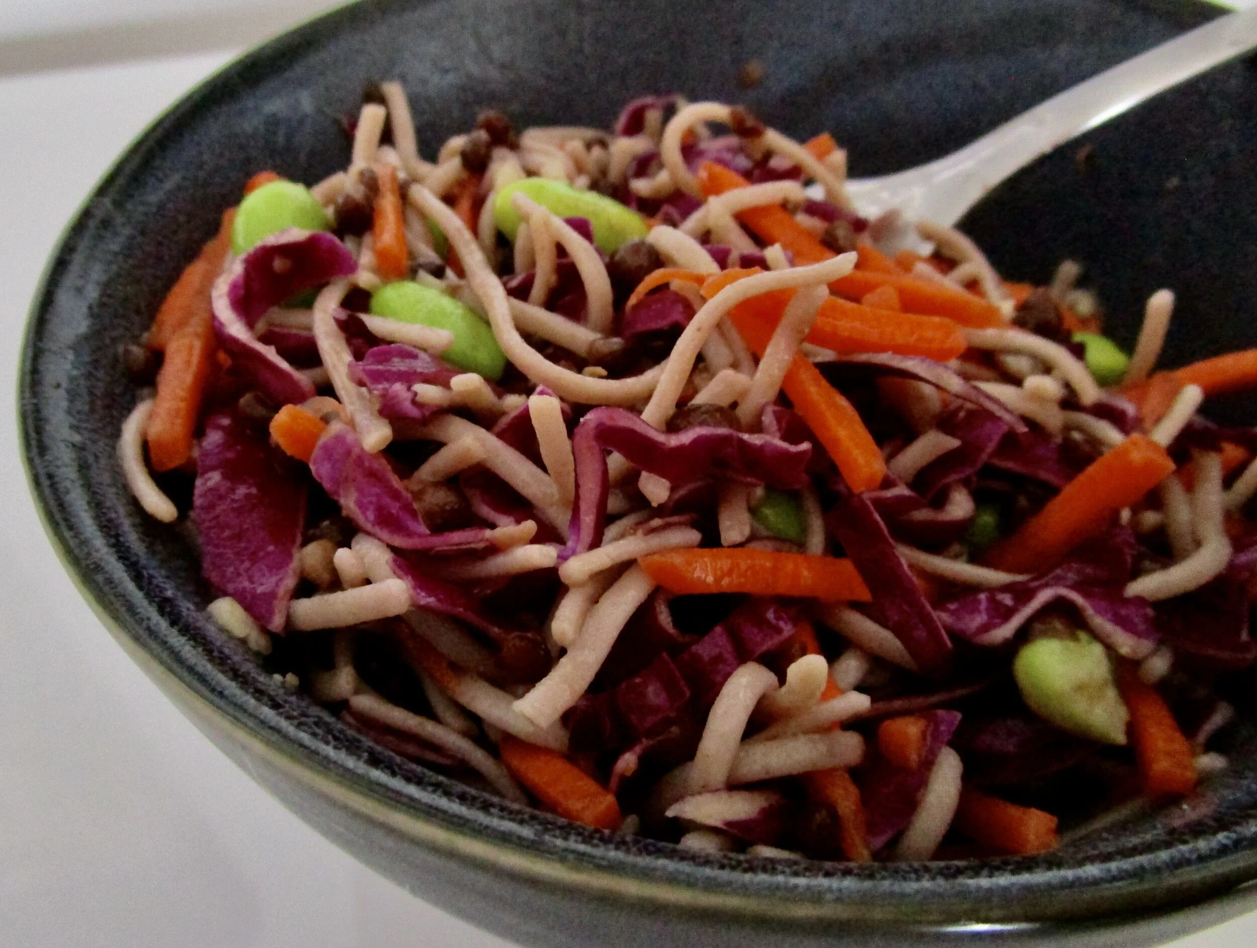 Edamame, Lentil and Soba Noodle Salad — Writing on the Run