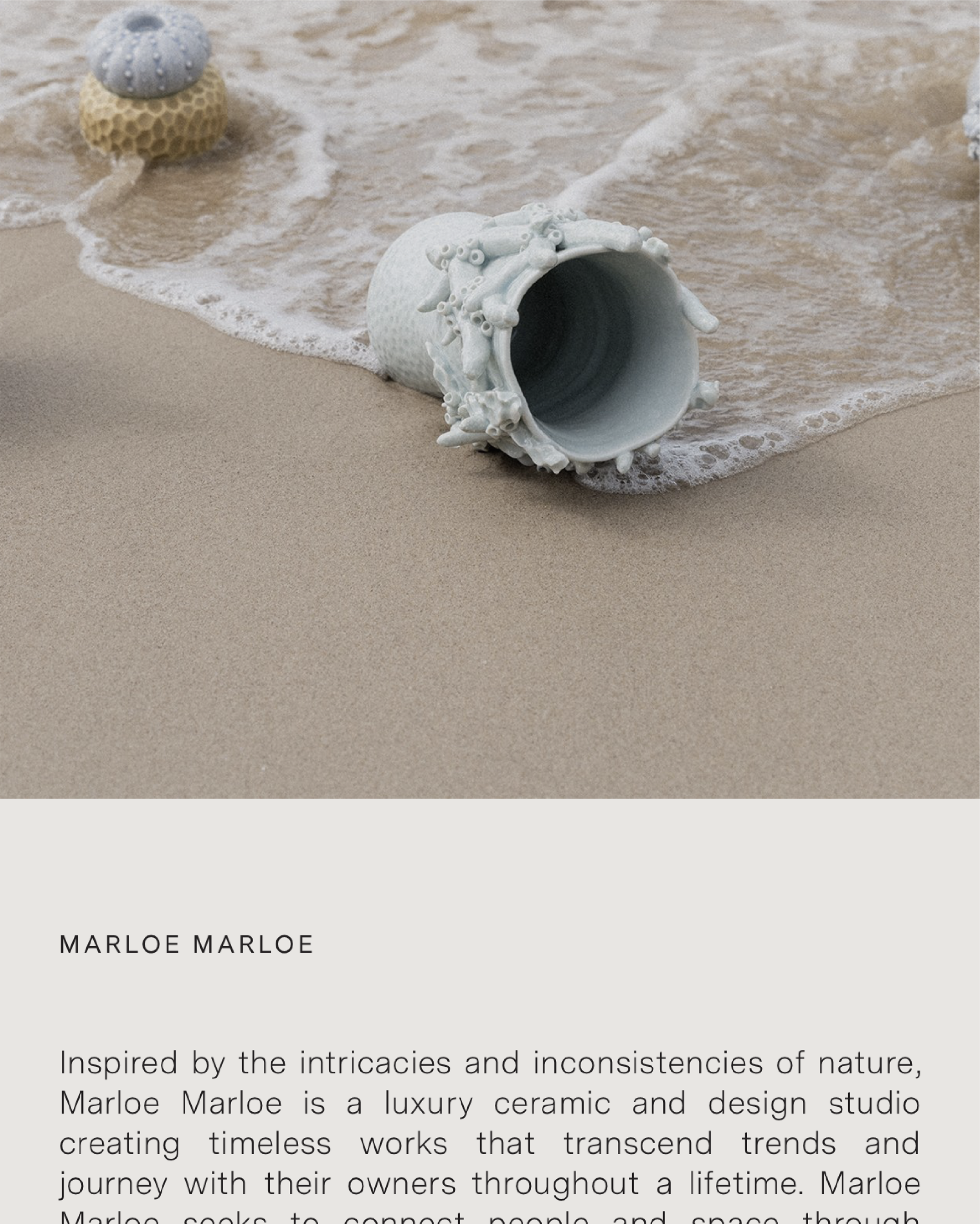 Studio Disenos by S-RL STUDIO 5.png