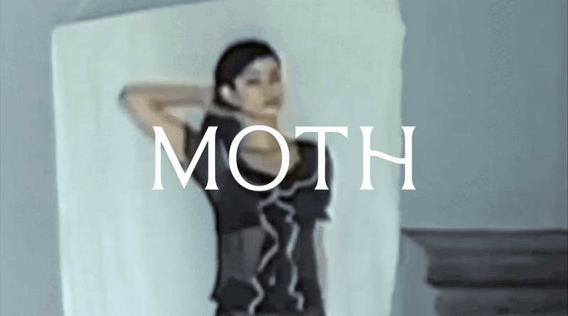 MOTH STORE by S-RL STUDIO.gif