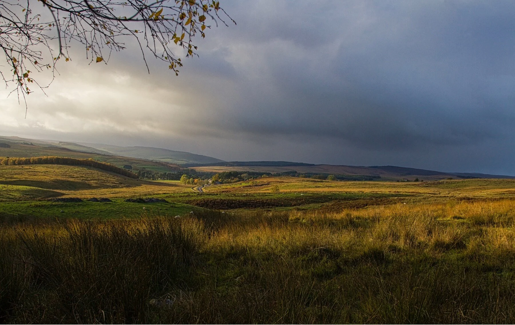 Herfst North-humberlandLLKK.jpeg