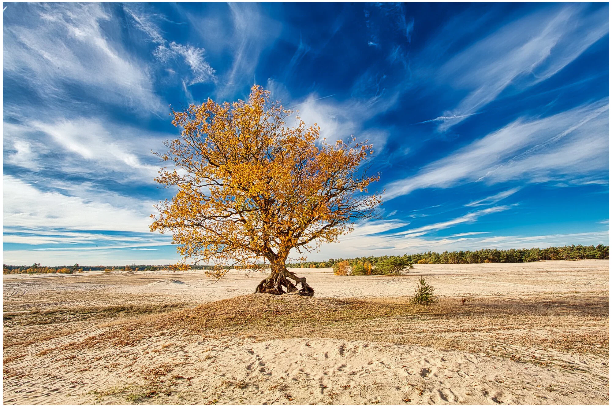      &nbsp;        










































  

    
  
     

      

      
         
          
        
        

        
          
             
               View fullsize 
              
           
             
         