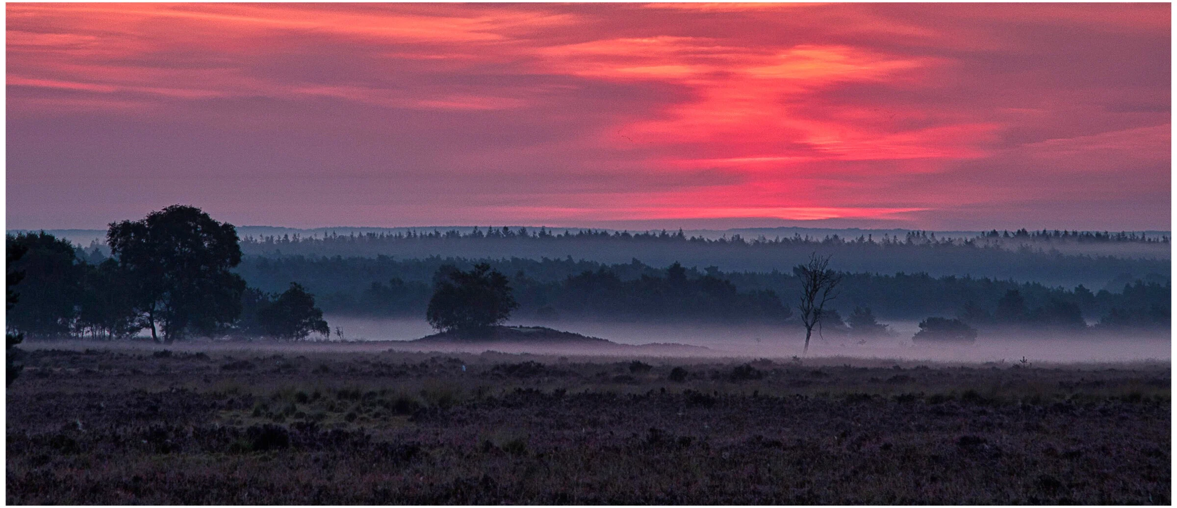 Ermelose heide.jpg