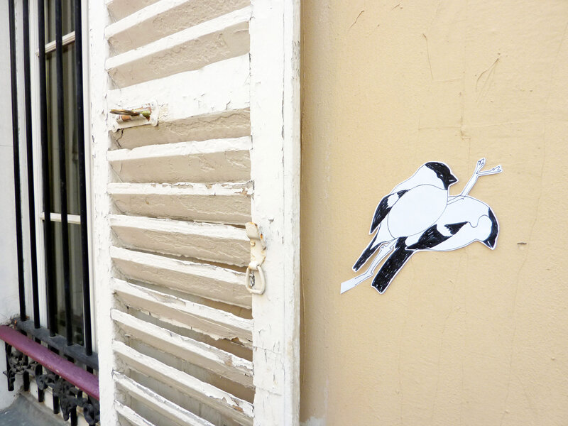 Deuxoiseaux.jpg