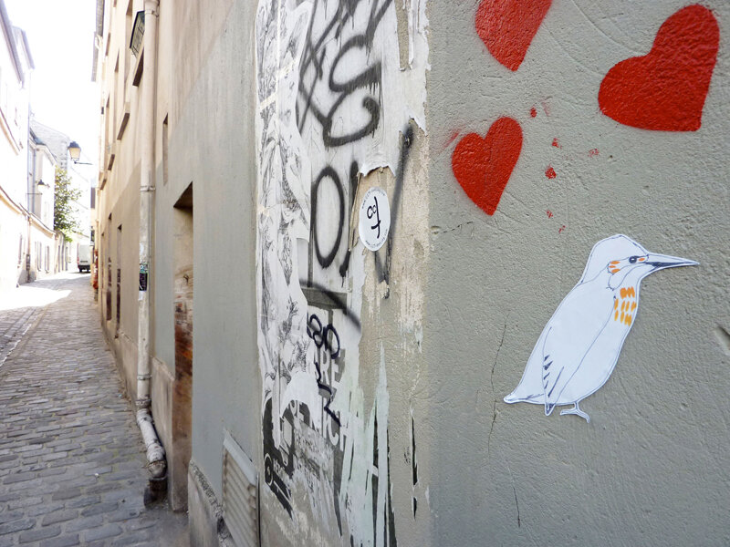 Oiseau.jpg