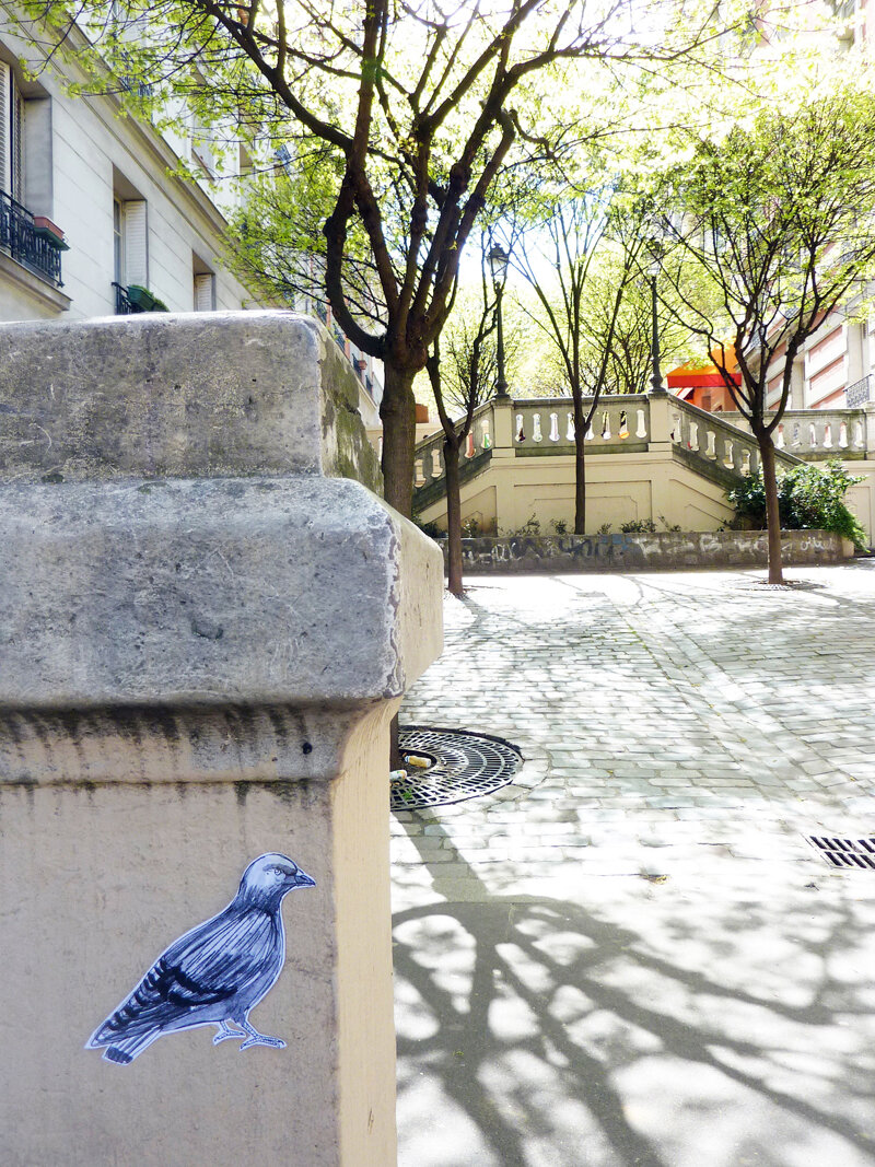 Pigeon.jpg