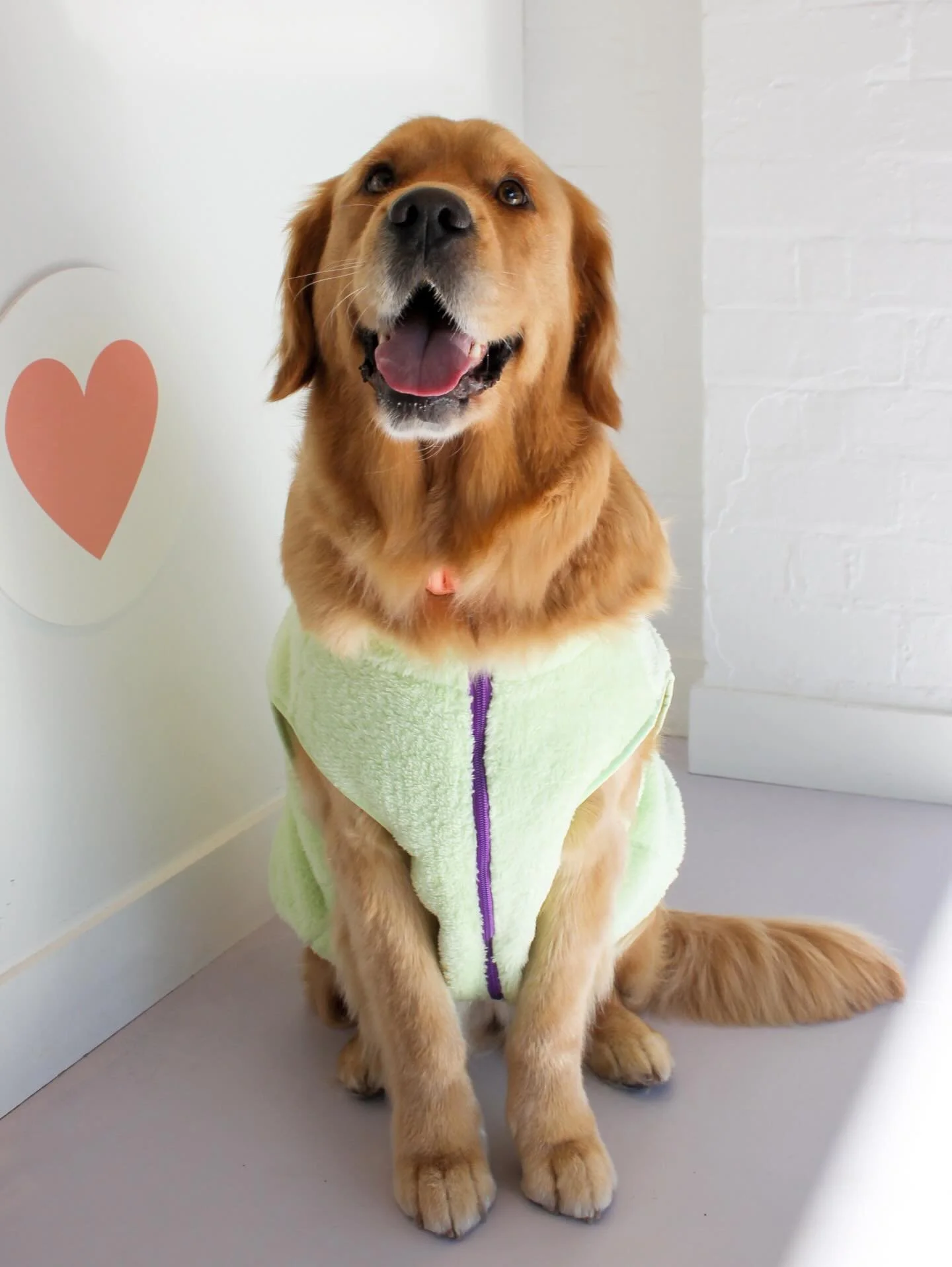 Something to cure your Sunday scaries 🥰