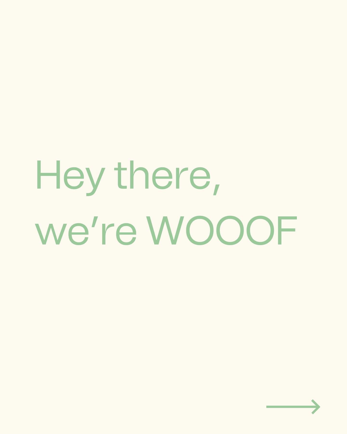 WOOOF opening in Sydney soon has us reflecting big time 🥹 This is how it all came together 4 years ago!