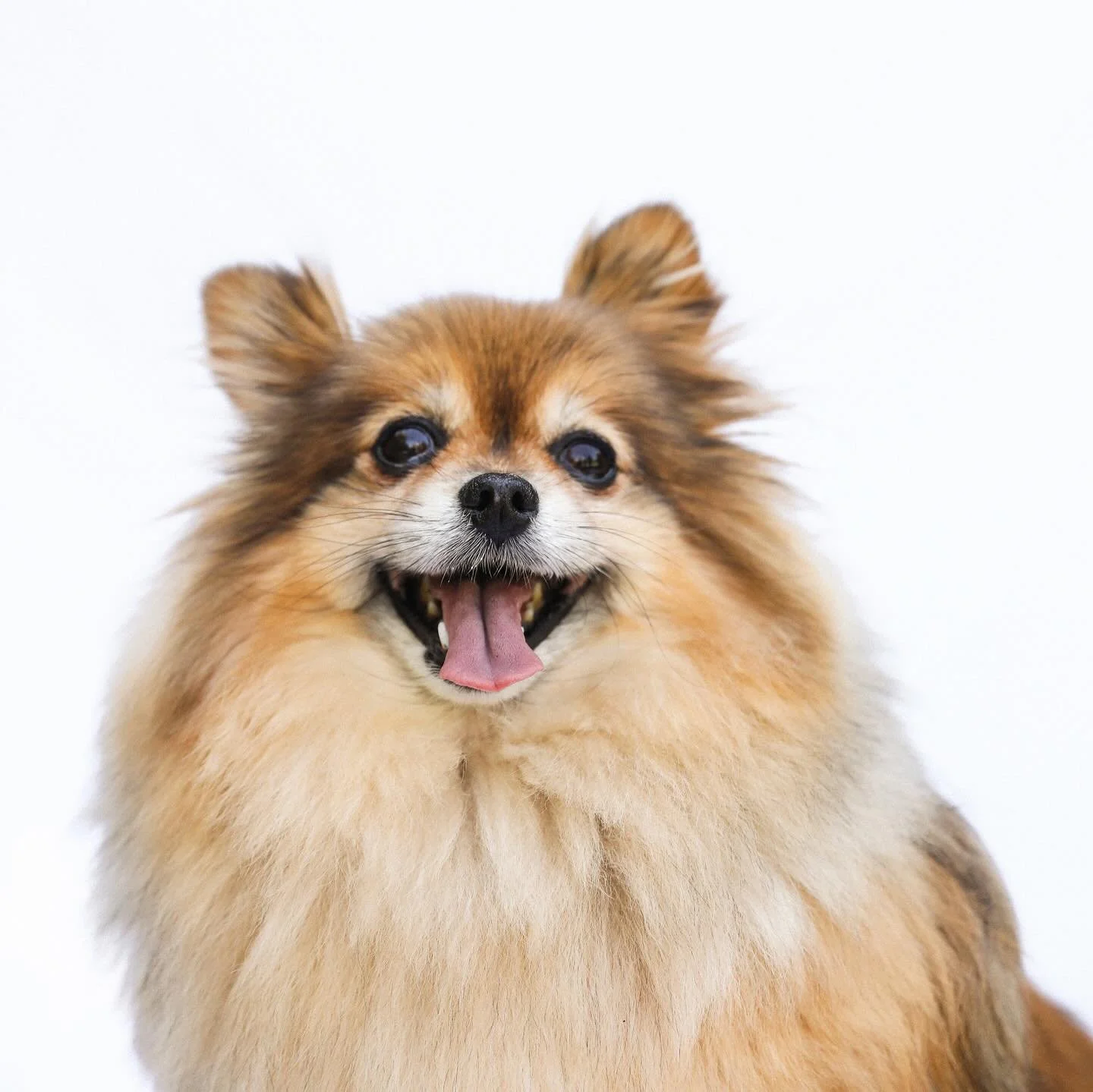 This is how excited we are to be a Telstra Business Awards state finalist!!! 

Four years ago, we set out to do things differently: our own natural Australian-made products, a beautifully designed, pristine salon, and a focus on innovation that reima