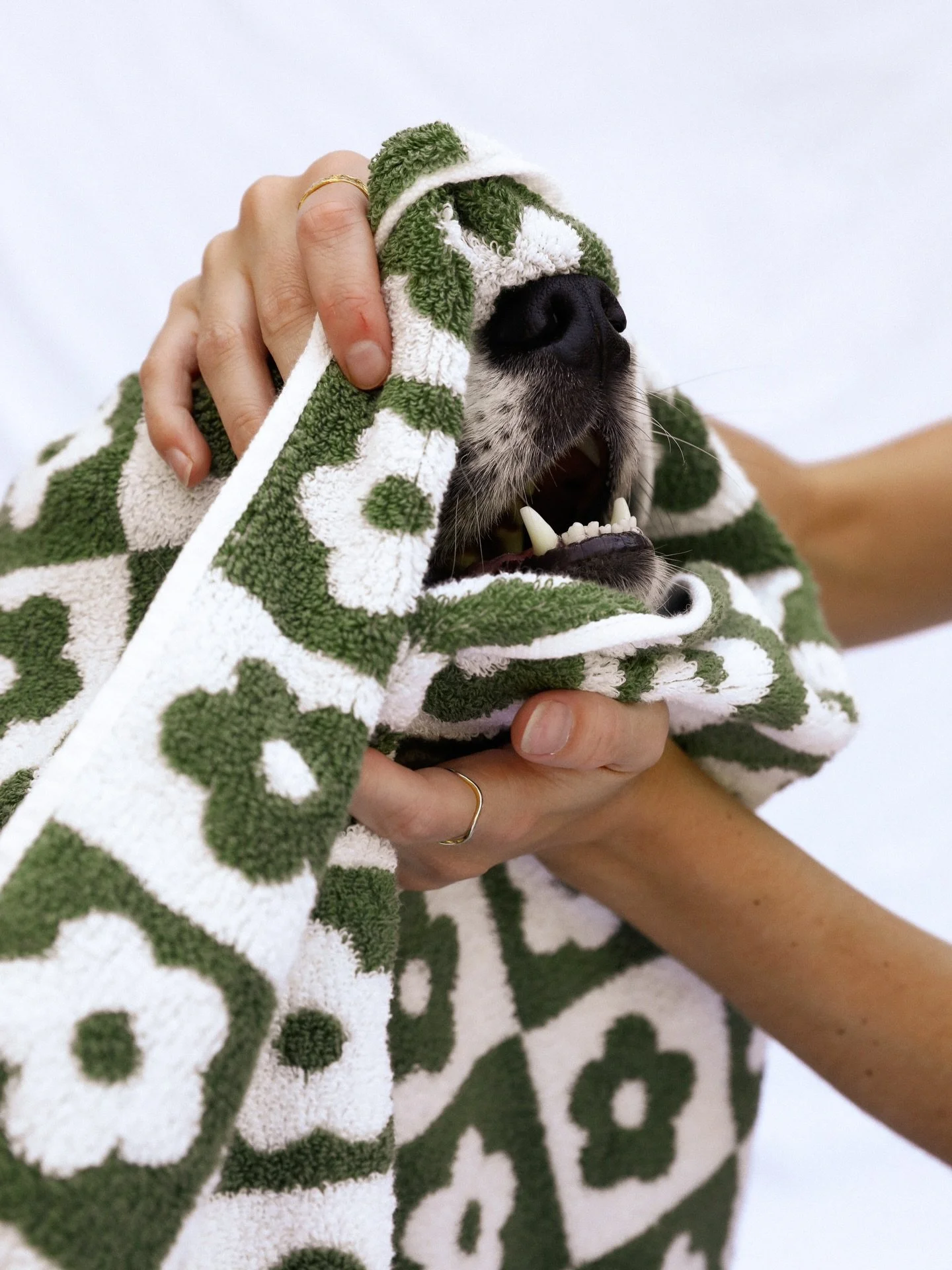 We&rsquo;re back in biz for 2026! Jan spots are filling up fast, so we recommend getting in early and booking your regular appointments in advance. Head to our website to book now ⭐️