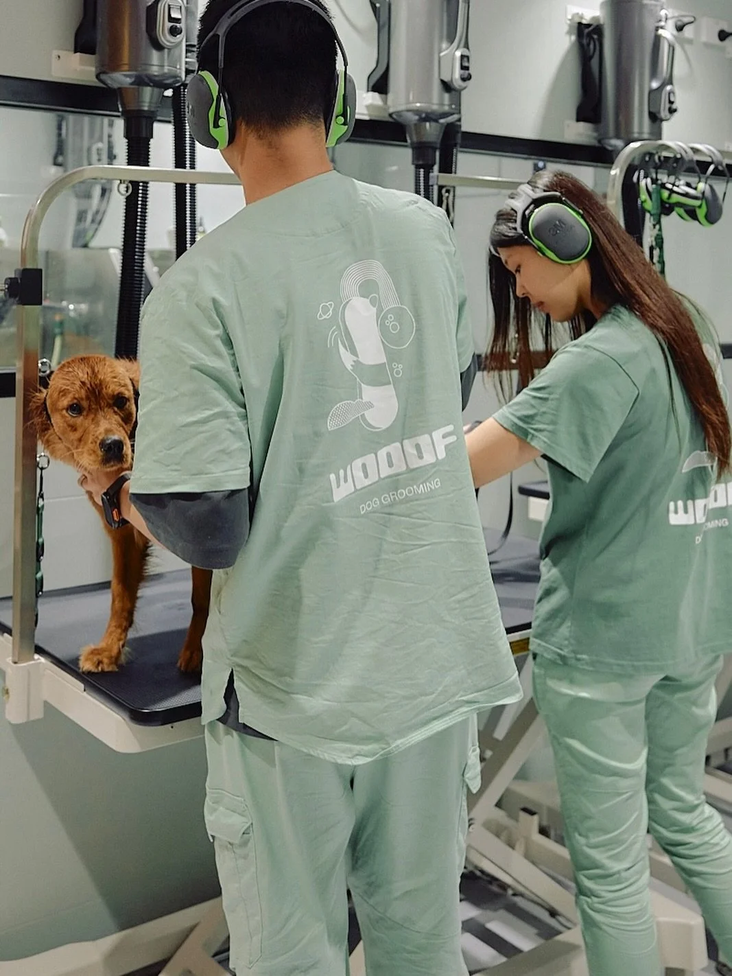 Our groomers in action at our Surry Hills salon at @wunderlich.lane