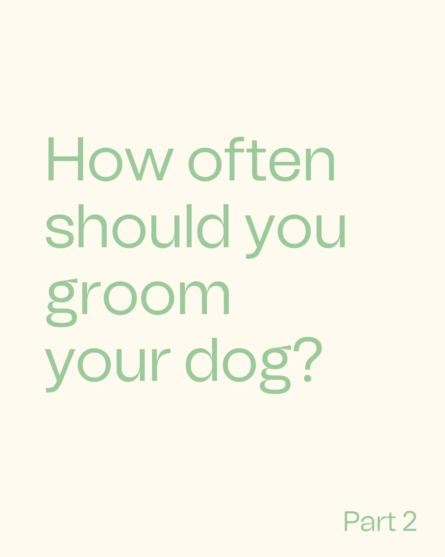 Part 2 of how often to groom your dog 🐕 plus some handy home care tips to help you manage their coat &amp; skin between appointments! 

#dogsofinstagram #dog #husky #greyhound #pomeranian