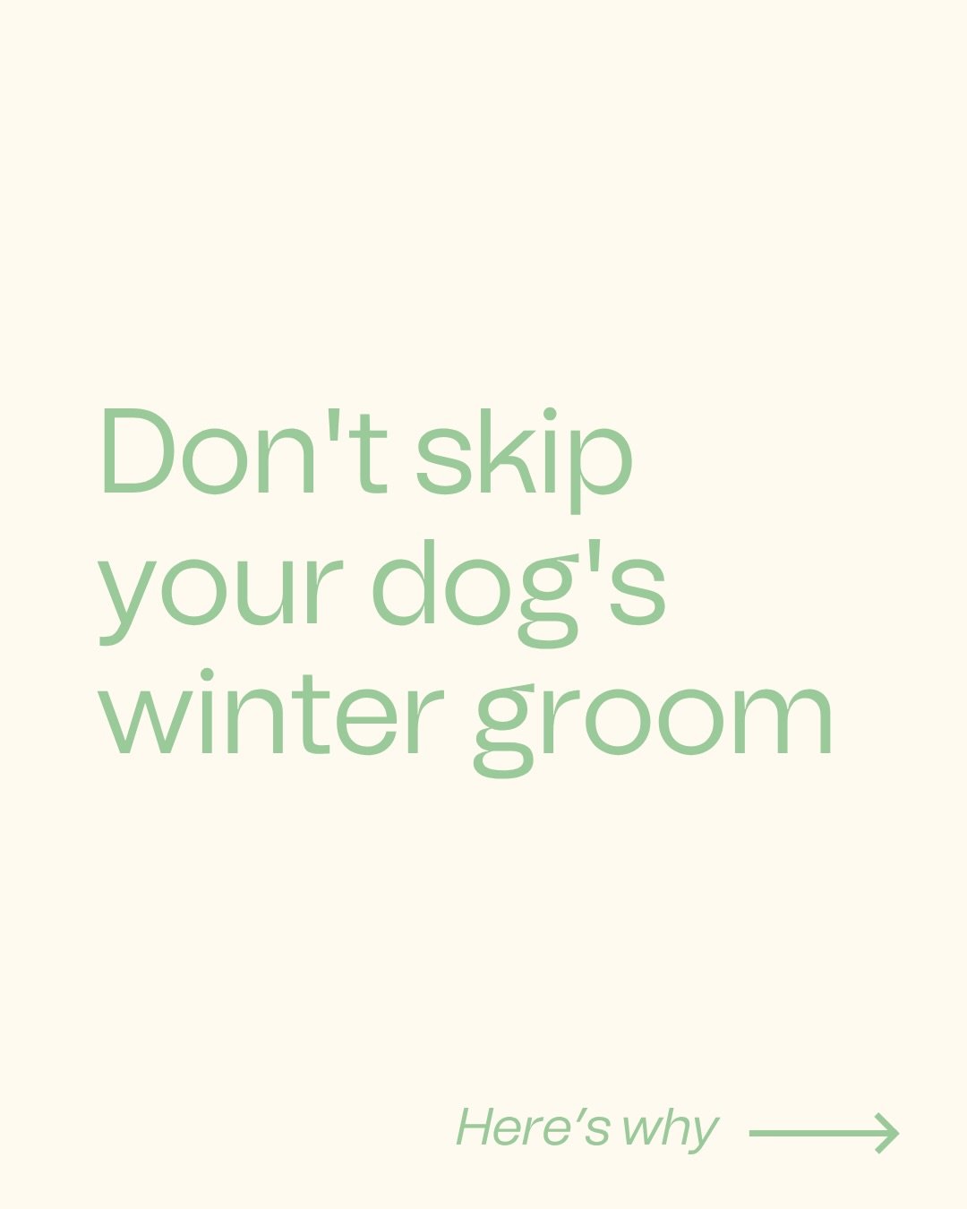 5 reasons not to skip winter grooming ❄️ many owners stop grooming their dog during the colder months, but here&rsquo;s why regular winter grooms keep your dog their healthiest (and avoid spring shave-downs - especially for the oodles!) 

DM us to ch