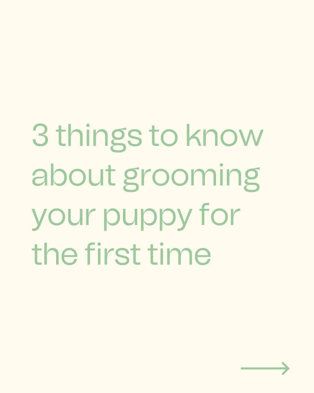 Whether you have a puppy or are thinking about adopting one, here are some things you should know about grooming them for the first time.

The first grooming experiences matter - and good ones can set them up for life.

DM us to chat about your puppy