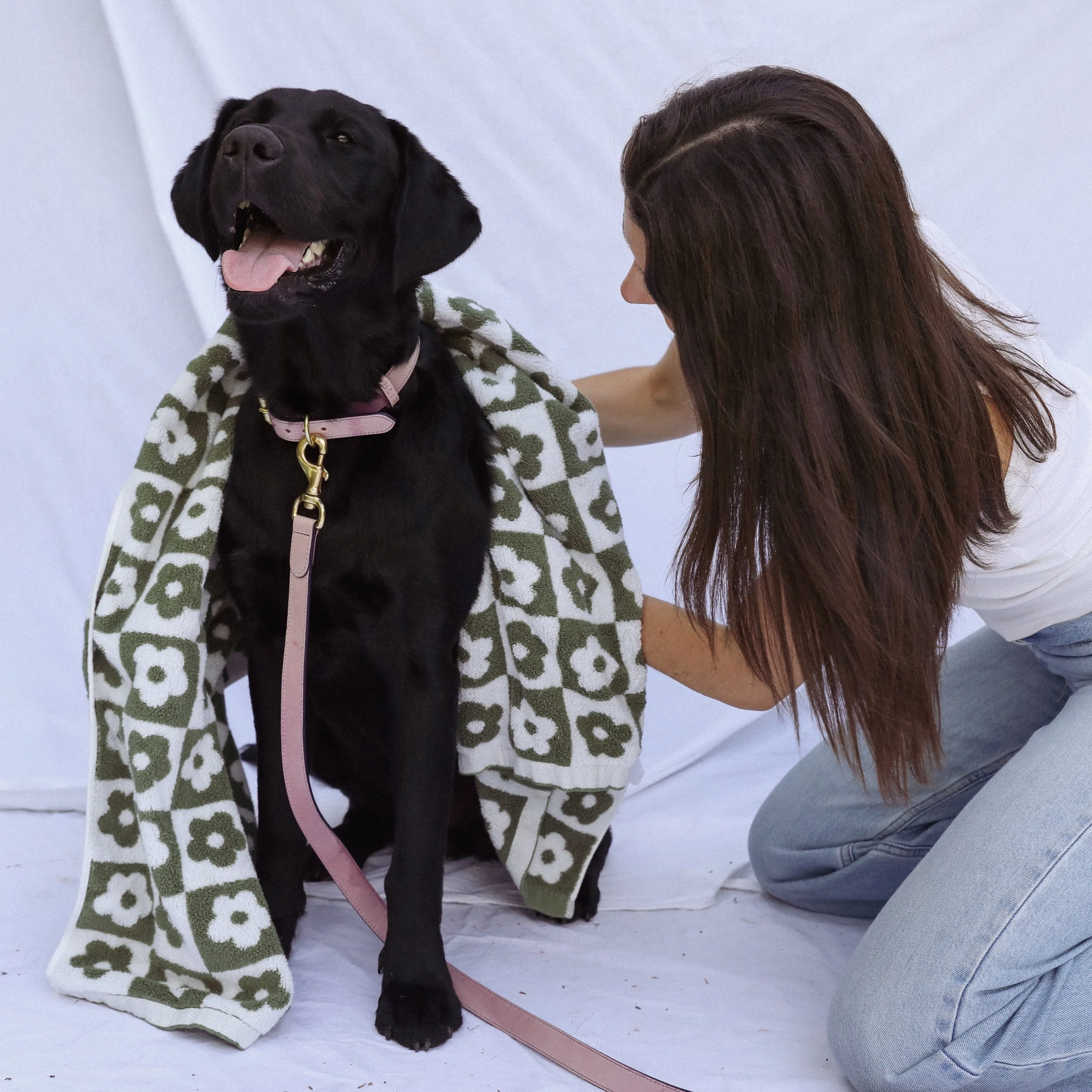 Stay cool: summer grooming tips for your dog