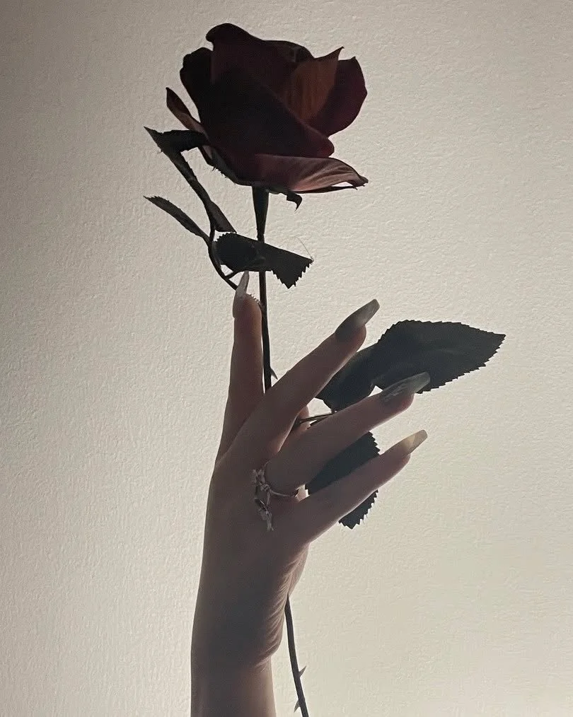 #hands #handmodel #handshooting #nails #nailsmodel #partsmodel #pressons #pressonnails #losangeles #california #nailstagram #handstagram #hand
