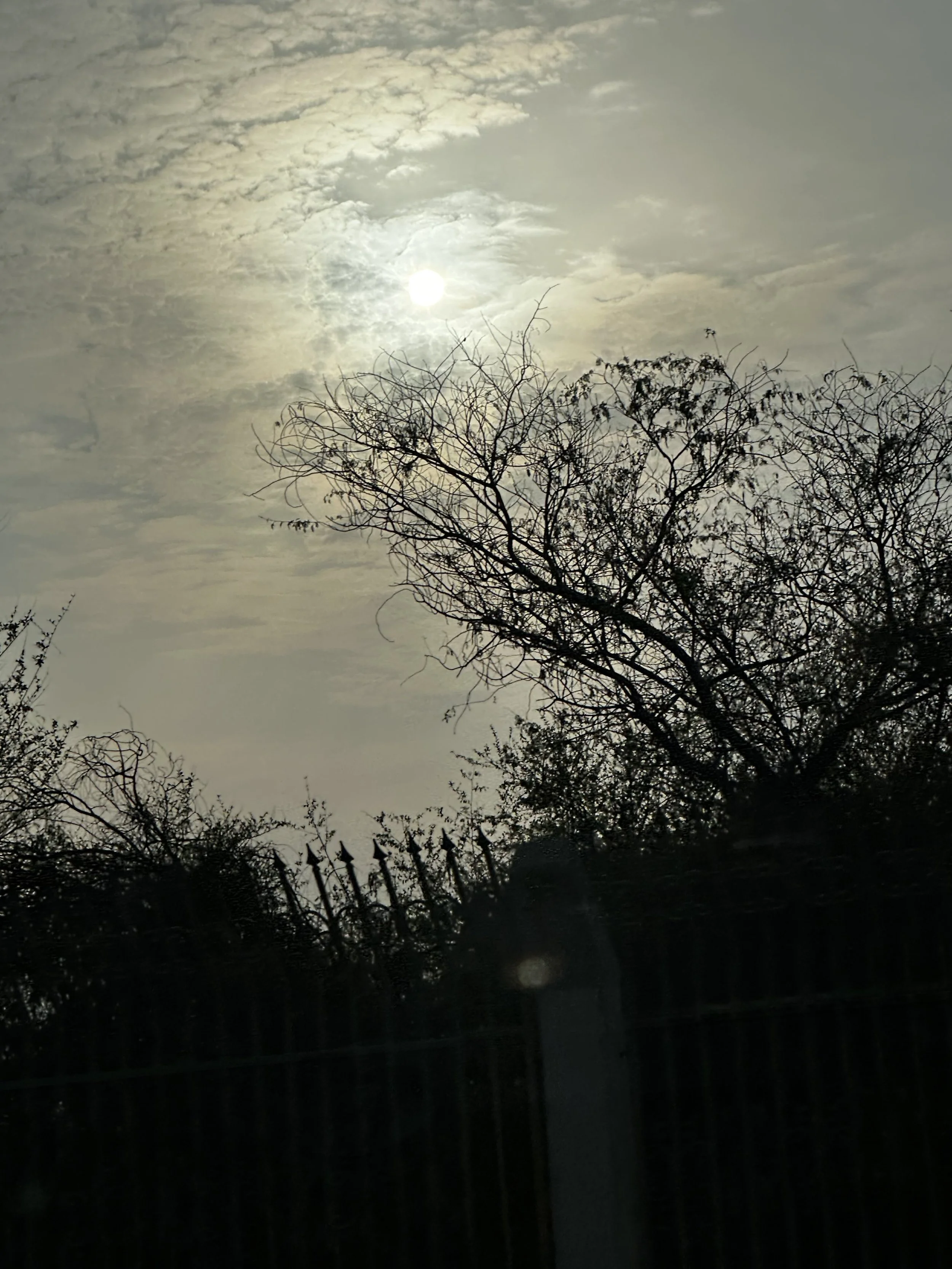 The Pandemic of Fitting in — Why Our Girls Are So Afraid of Being Left Out