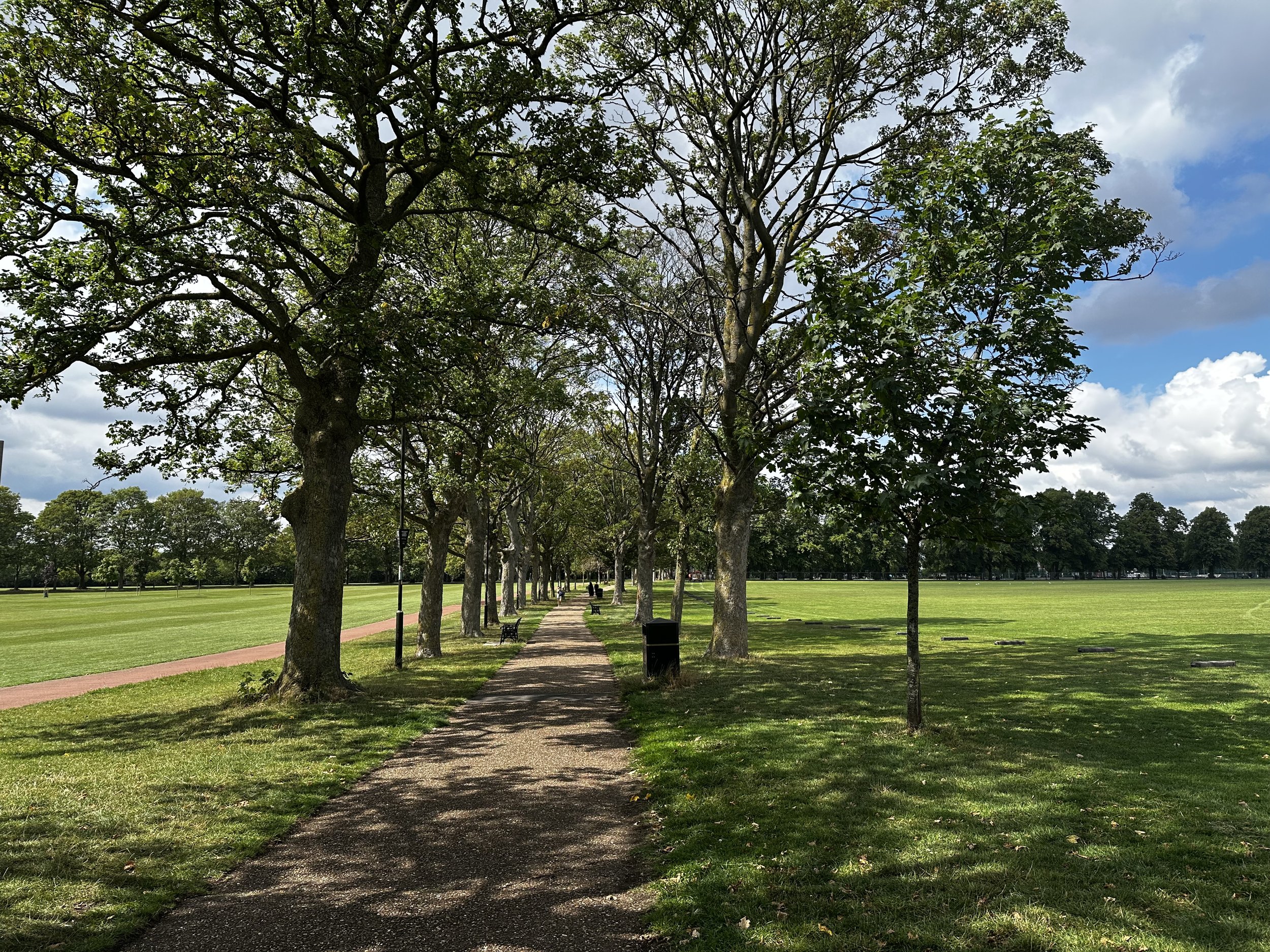 vic park.jpeg