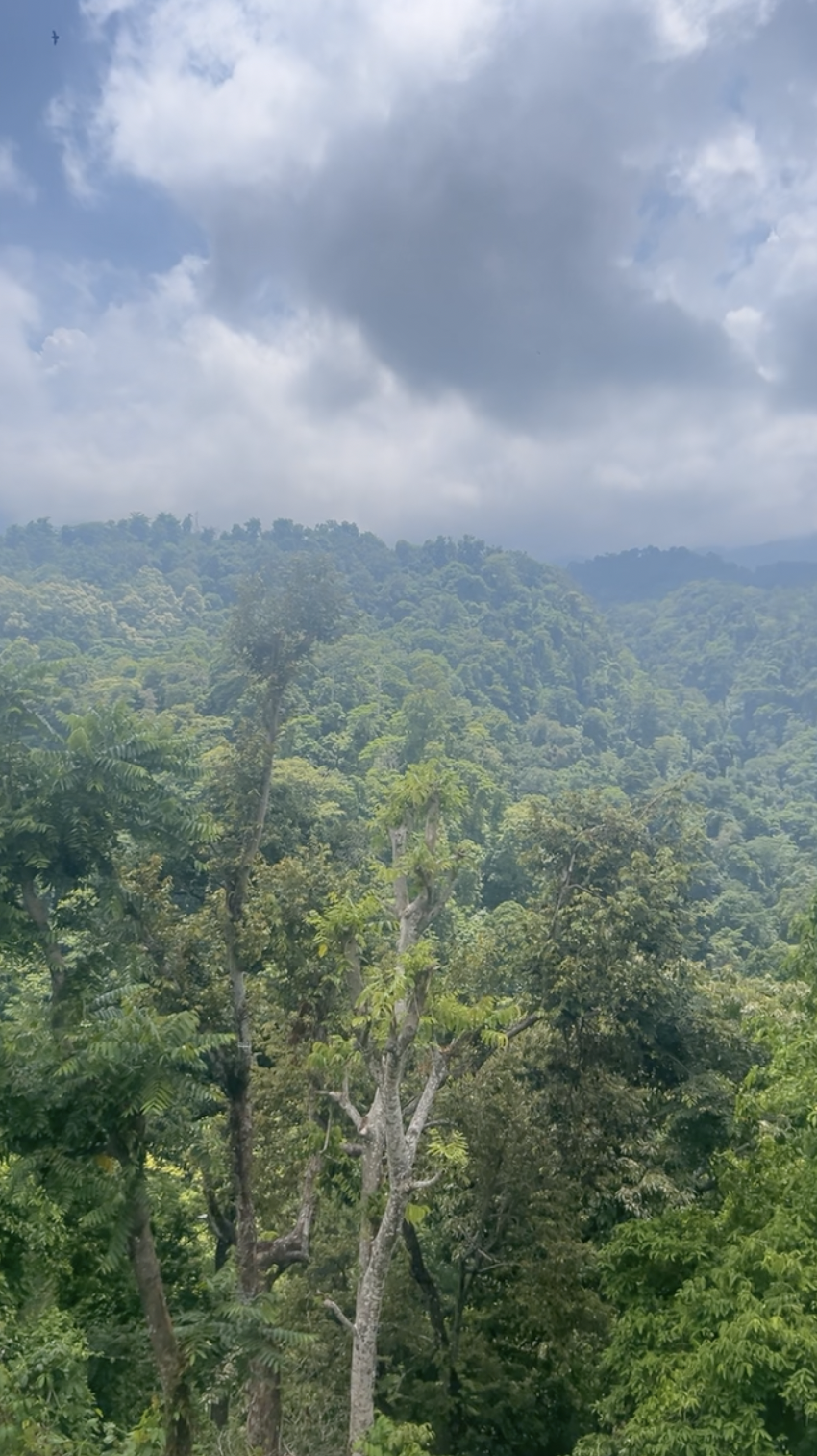 Screenshot 2024-01-05 at 2.44.23 PM.png